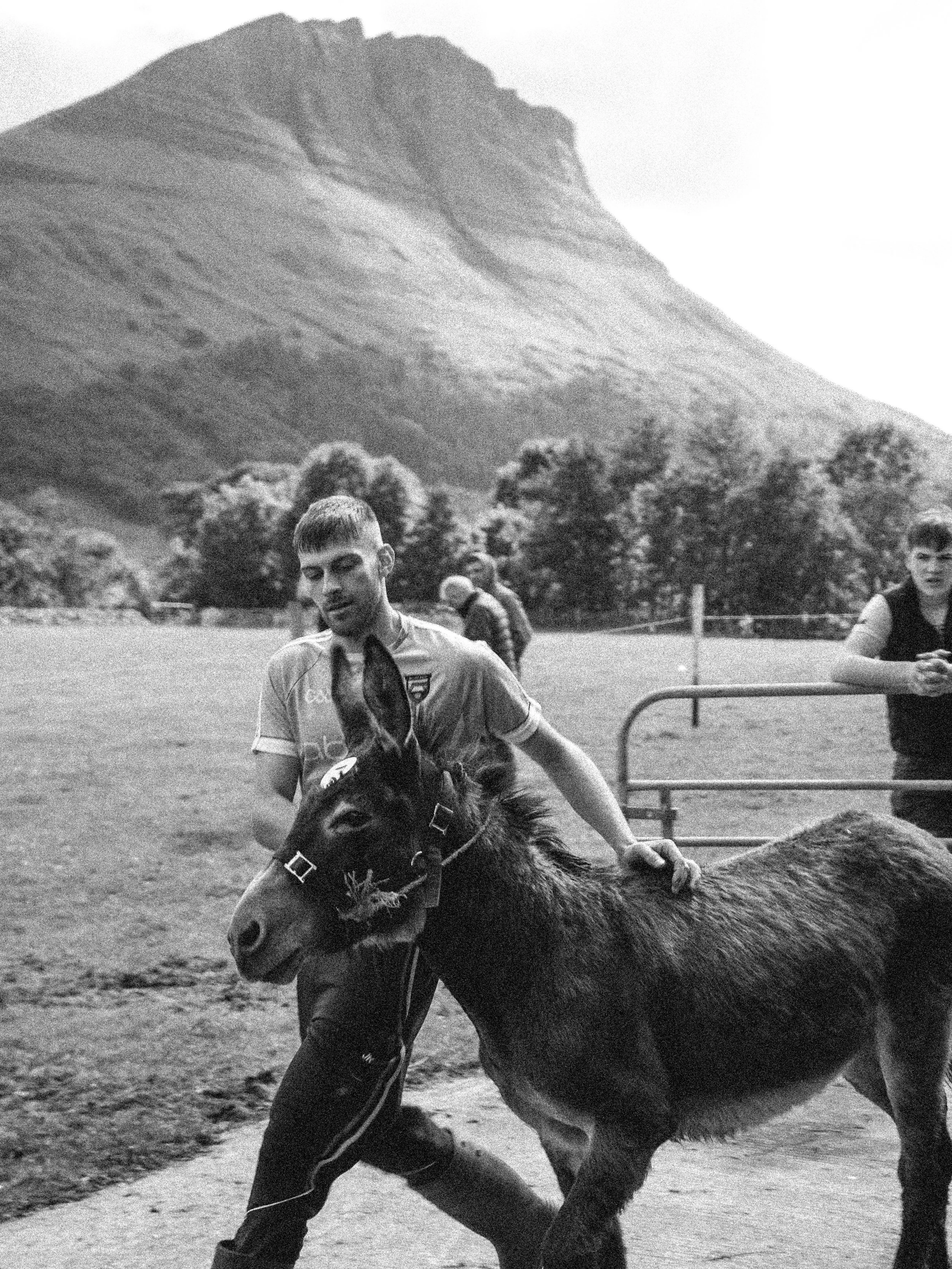 Ballintrilick Donkey Derby A4 Print