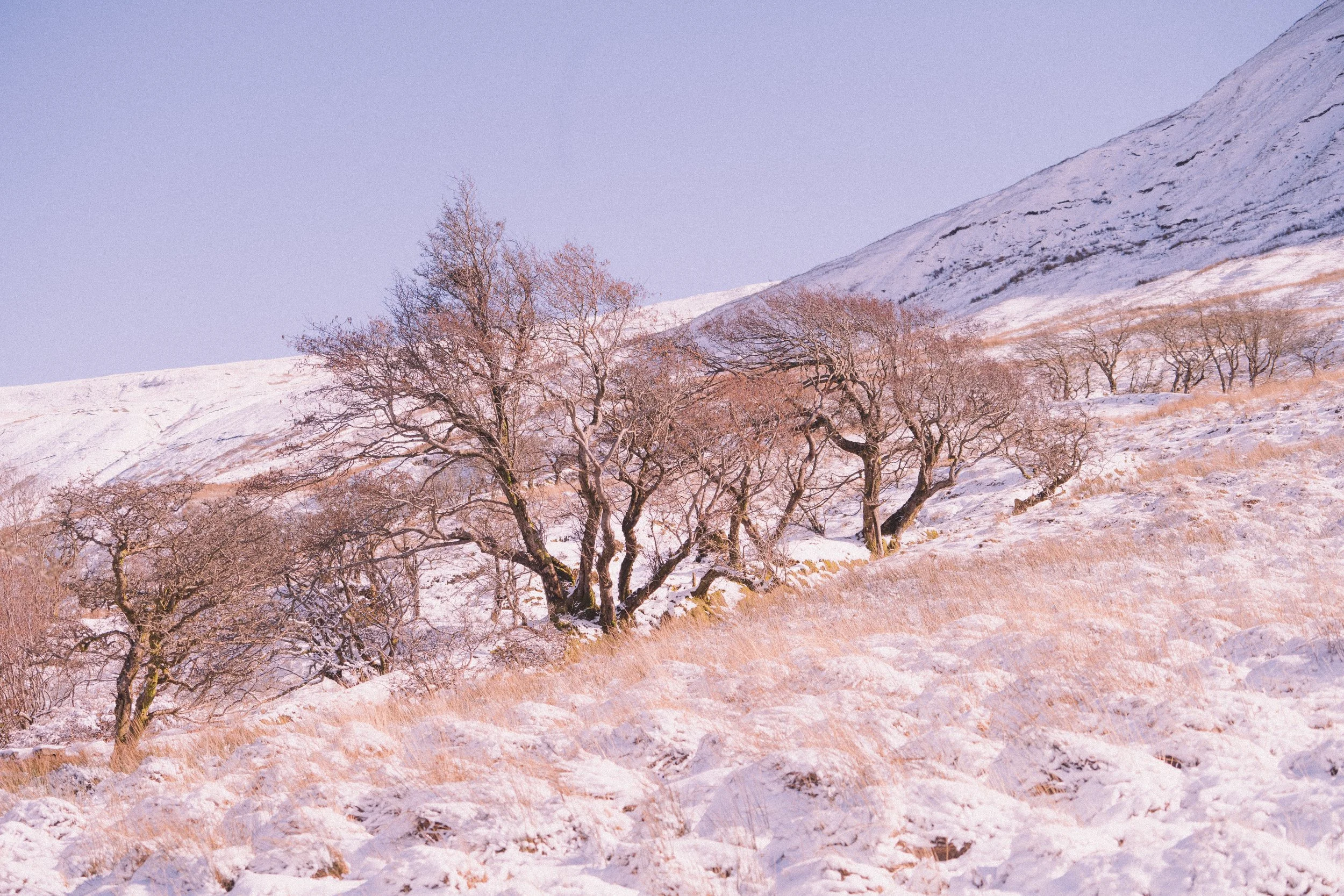 Gleniff Horseshoe 1