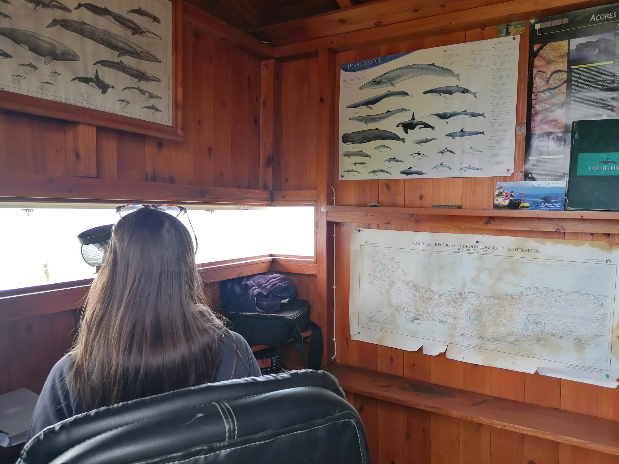 Whale reading - Azores