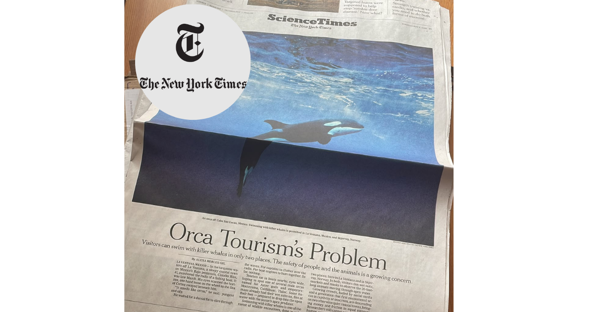 PhD research featured in The New York Times