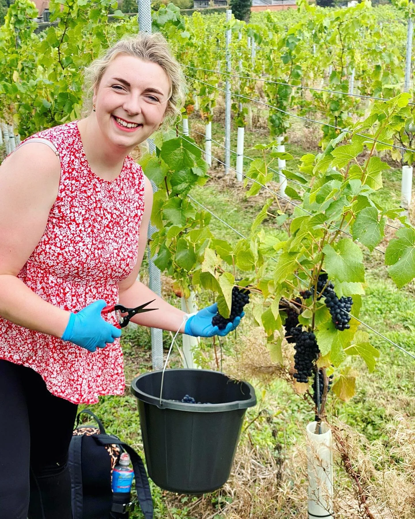 We had the pleasure of going along to harvest and create content for our client (and Louisa’s other half!) @housecoren ! Fantastic atmosphere and plenty to fill and document, a creator’s dream! Head over to their page to keep up with all