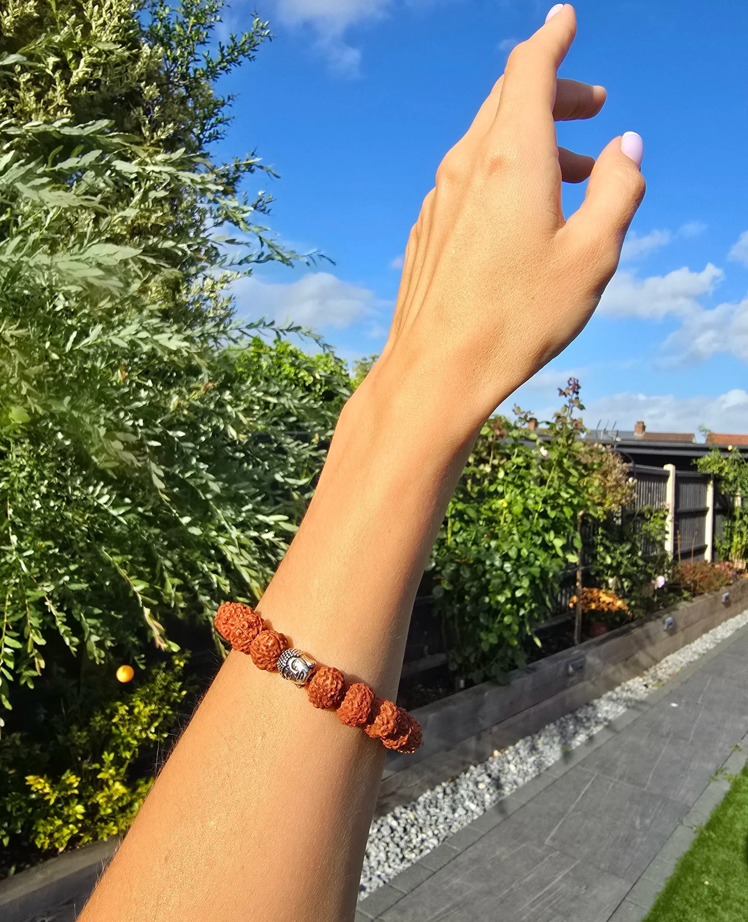brown+rudraksha.jpg