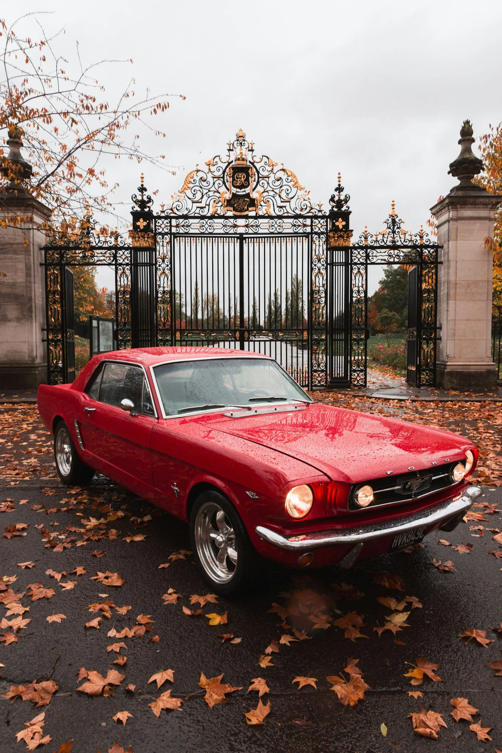 Vintage Car Show