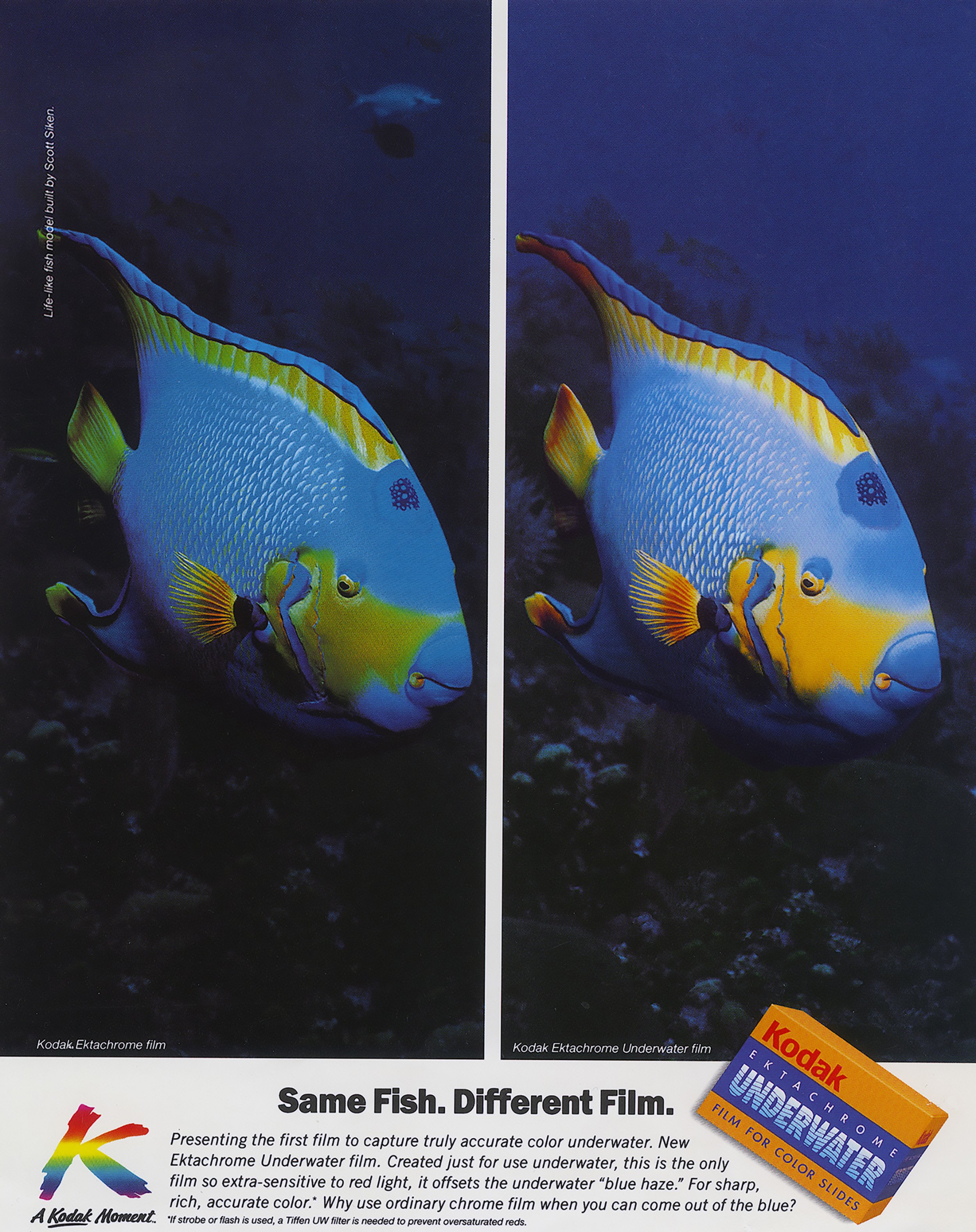 Kodak underwater Fish Sculpture