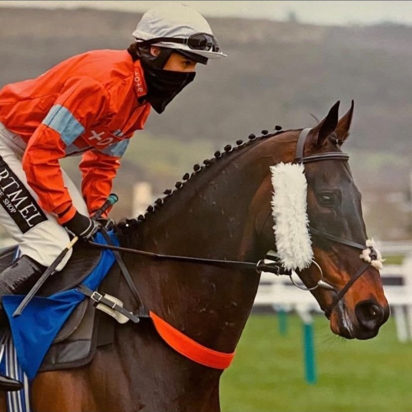 Horses In Training — James Moffatt Racing Stables