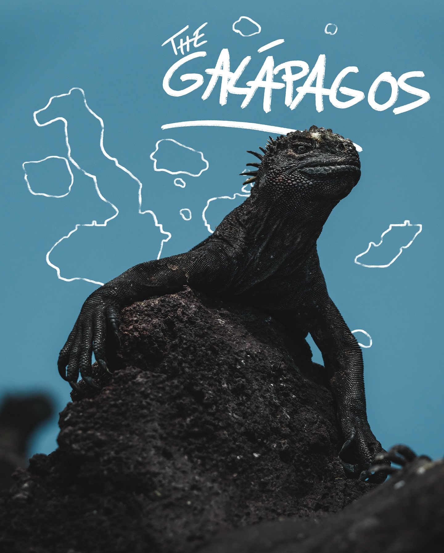 X THE GAL&Aacute;PAGOS X

I just spent an entire week out at sea with @galaxy_diver_liveaboard to explore one of my absolute favorite place on our planet: The Gal&aacute;pagos Islands !

There&rsquo;s nowhere else with so much variety, a place where 