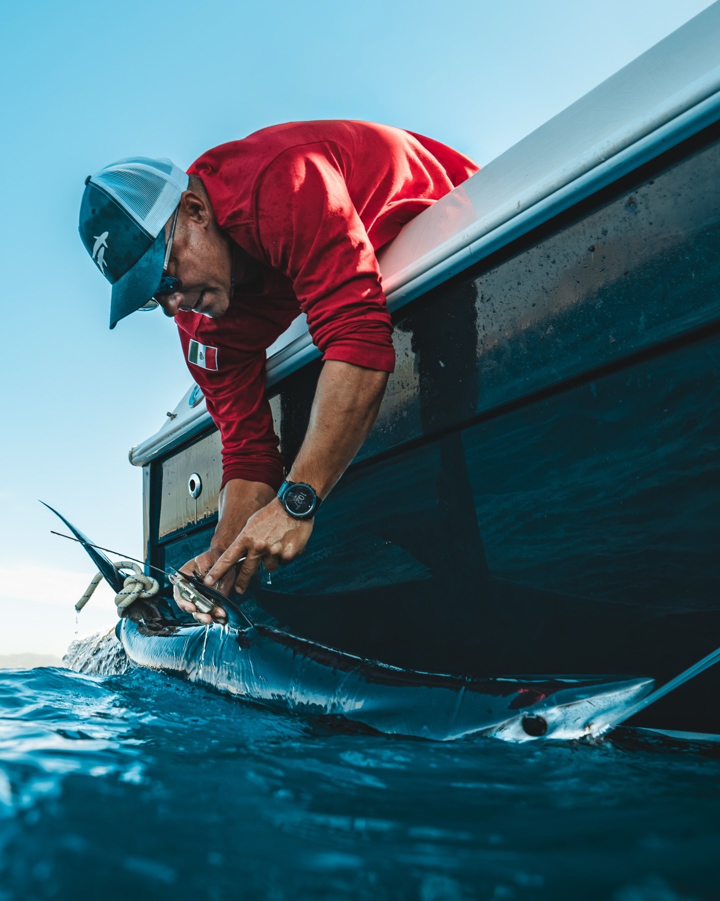 For the past 3 years, we&rsquo;ve been placing GPS satellite tags on Shortfin Makos in Baja California Sur, Mexico and this year, we give you the opportunity to join us on this once in a lifetime experience !!!

This April, we&rsquo;ll take 4 people 
