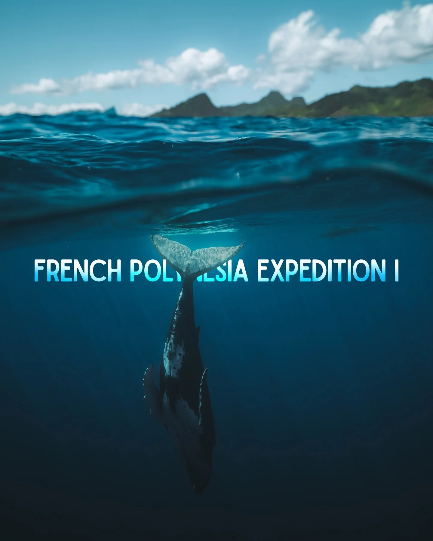 Here&rsquo;s a look back at our first 2025 @deepseaguardians French Polynesia Expedition back in September.

Such an epic week filled, not only with lots Humpback Whales, but also with unexpected encounters !

The most memorable moment of the week wa