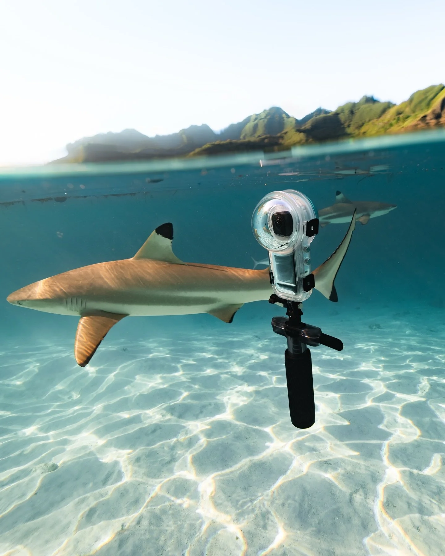 Here are some of my favorite images we created for the official launch campaign and packaging of the @insta360 Dive Buddy (see the last slide).

Such a cool little device that makes my 360 cam float and allows me to fully focus on what matters: being