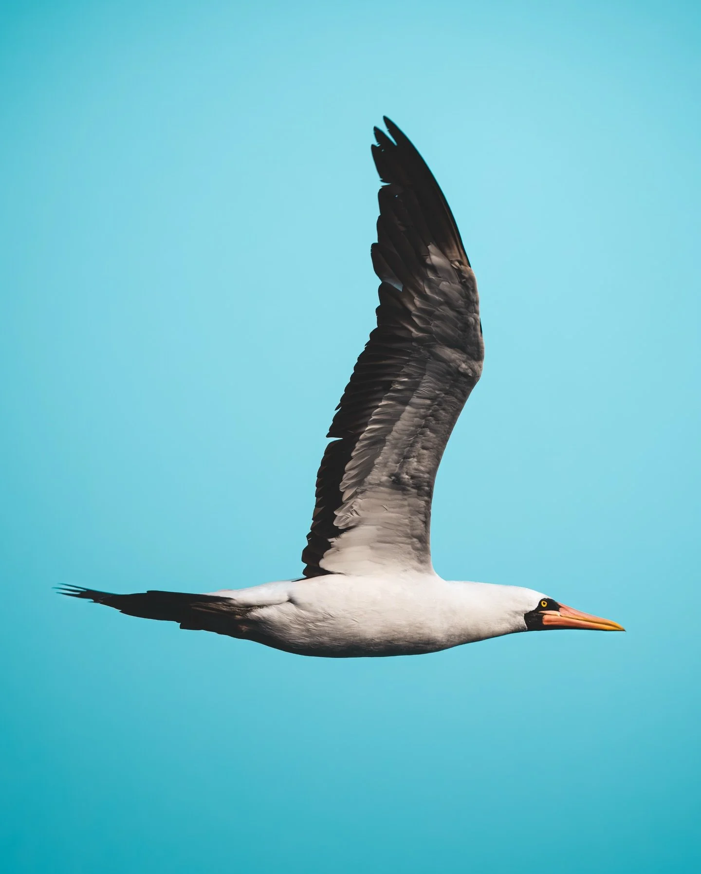 Yesterday was World Wildlife Day, but I didn&rsquo;t post because we were too busy tracking Snow Leopards in the Himalayas.

As you&rsquo;ve probably already guessed, I celebrate wildlife every single day of the year. So here I am, one day late, shar