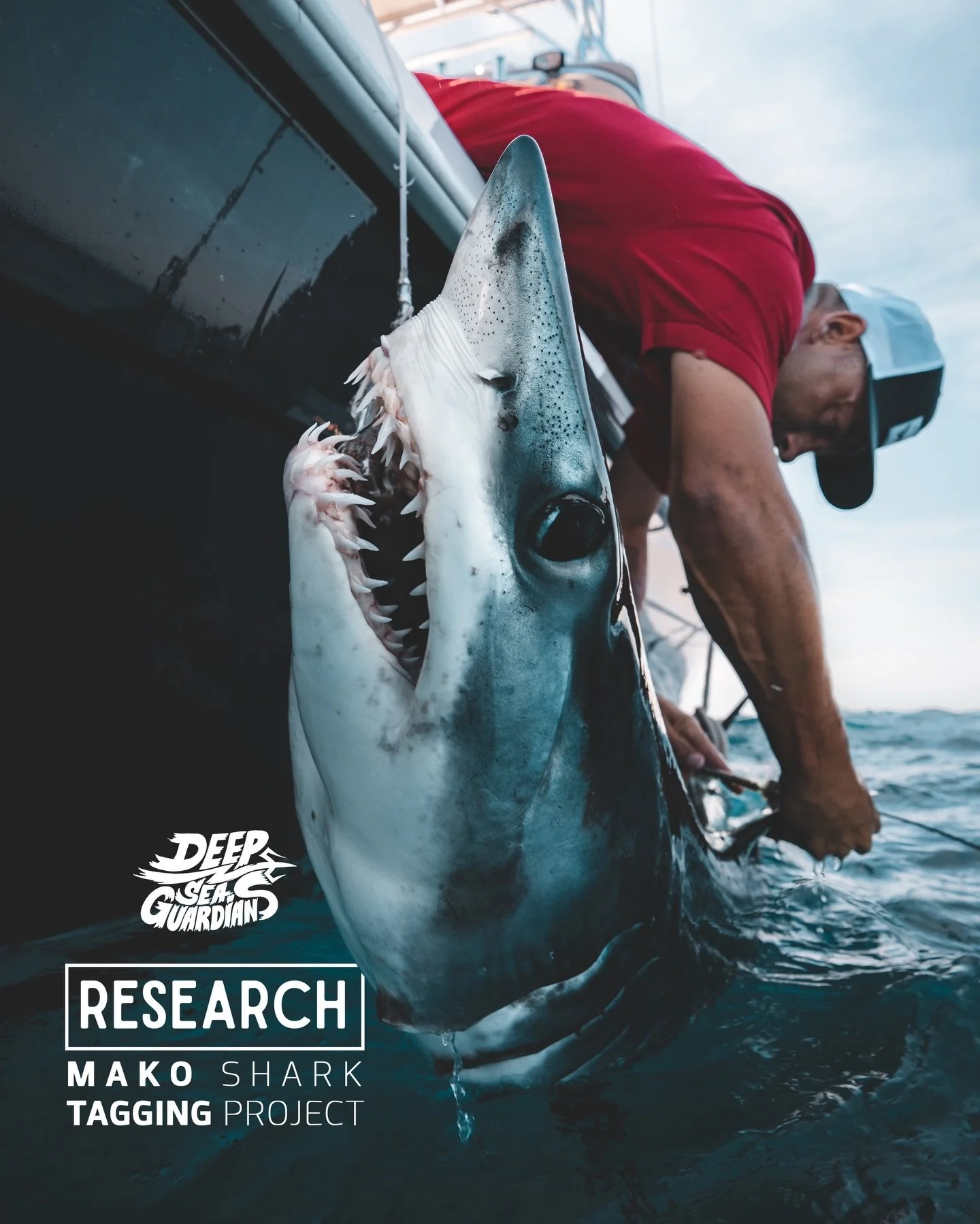 I&rsquo;m extremely proud to announce that, together with our NGO @deepseaguardians, we successfully wrapped another tagging mission in collaboration with our partners @sharkresearchmexico &amp; @bajasharkexperience as part of our ongoing Mako Shark 