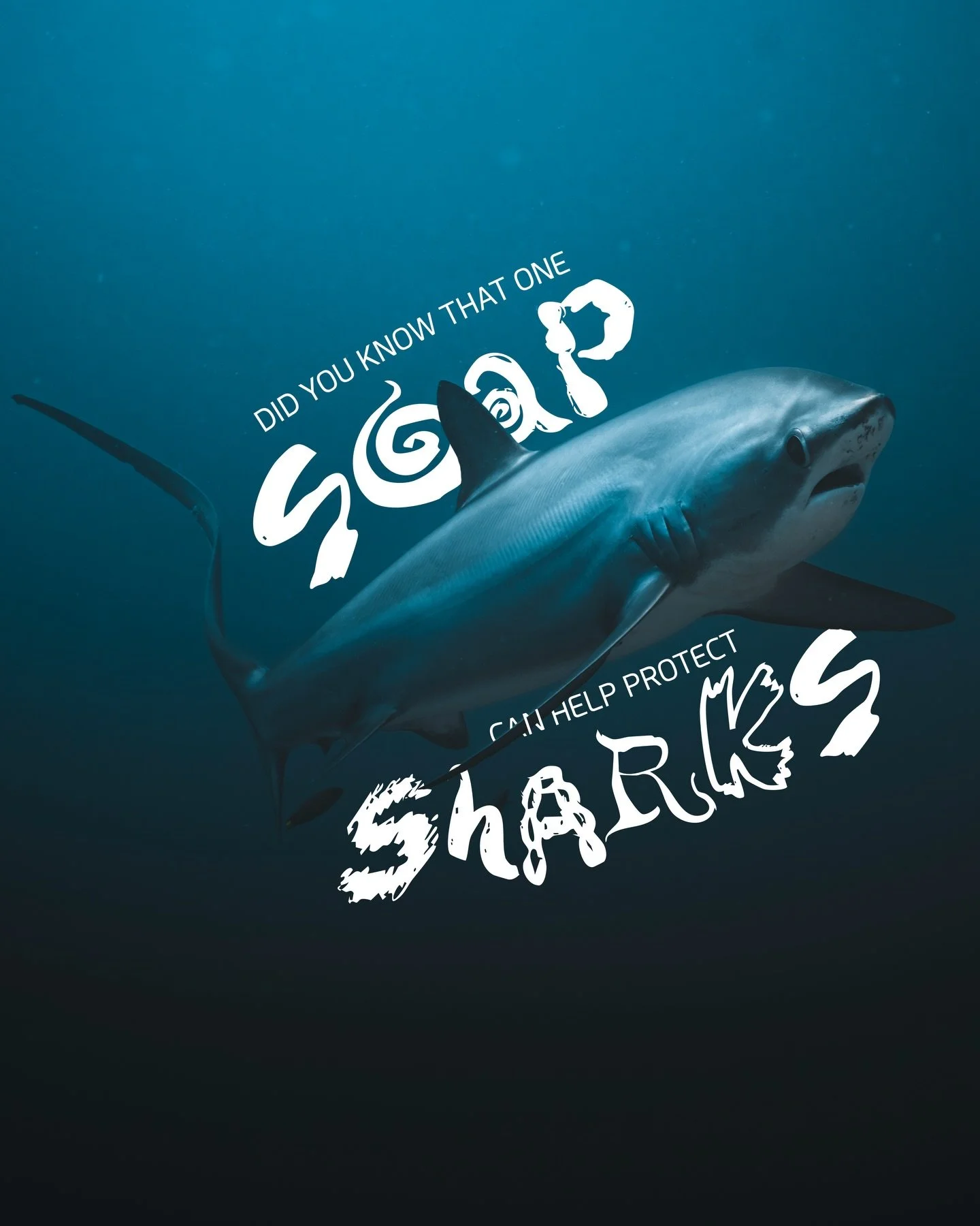 SOAP FOR SHARKS.

Starting today and for one entire week, May 5&ndash;12, 100% of all soap sales from @thesoapandthesea go directly to @deepseaguardians.

Every purchase helps us protect sharks and support real conservation work in the field !

Helpi