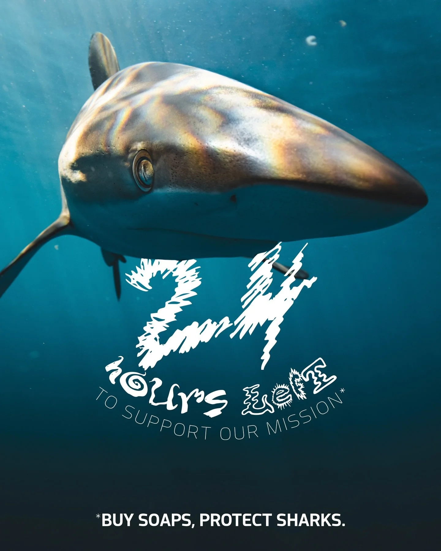 ⚠️ 24 HOURS LEFT to help us protect sharks !

Until tomorrow, @thesoapandthesea will donate 100% of all soap sales to @deepseaguardians in support of our shark conservation projects !

🧼🦈 So if you want to smell good and help sharks, now is the tim
