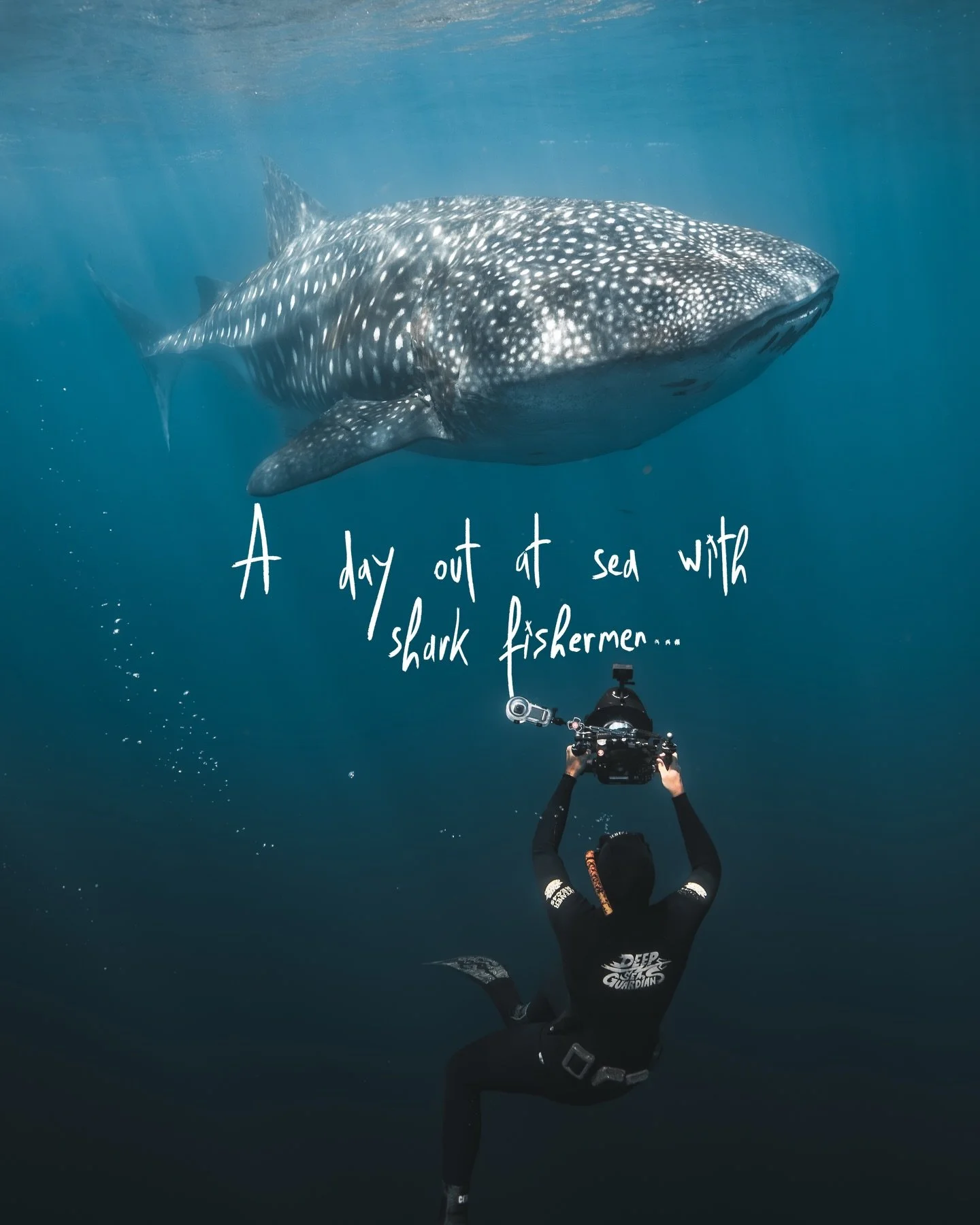 A DAY OUT AT SEA WITH SHARK FISHERMEN&hellip;

I met Pancho about 3 years ago in Baja California Sur, Mexico.

He welcomed me into his community and showed me his life: a life spent out at sea fishing sharks.

I wasn&rsquo;t there to judge, I was the