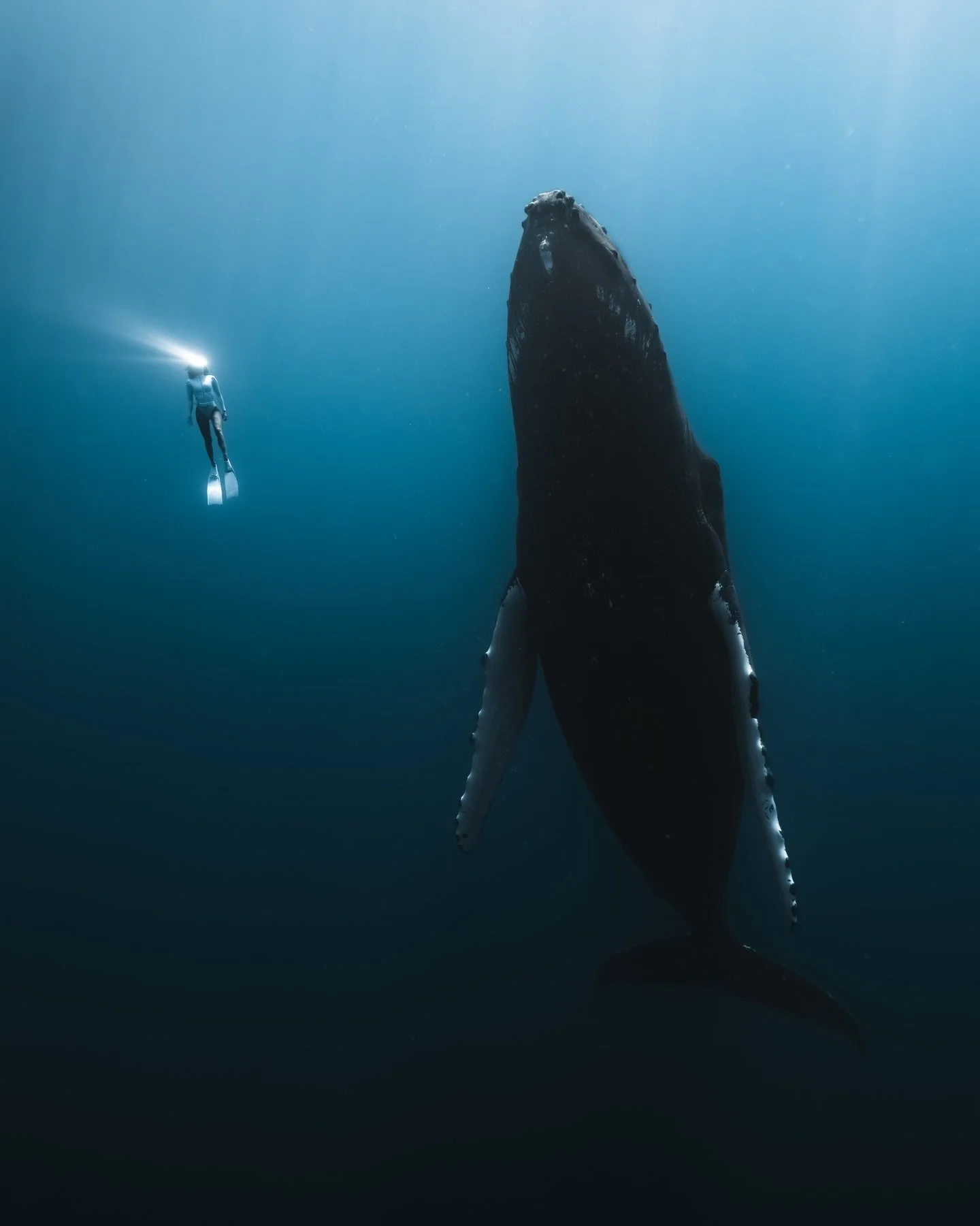 Today is World Ocean Day.

A reminder of the endless beauty, diversity, and importance of our planet&rsquo;s oceans.

A reminder that every second breath of oxygen we take comes from the ocean.

And a reminder to act to preserve it and make everyday 