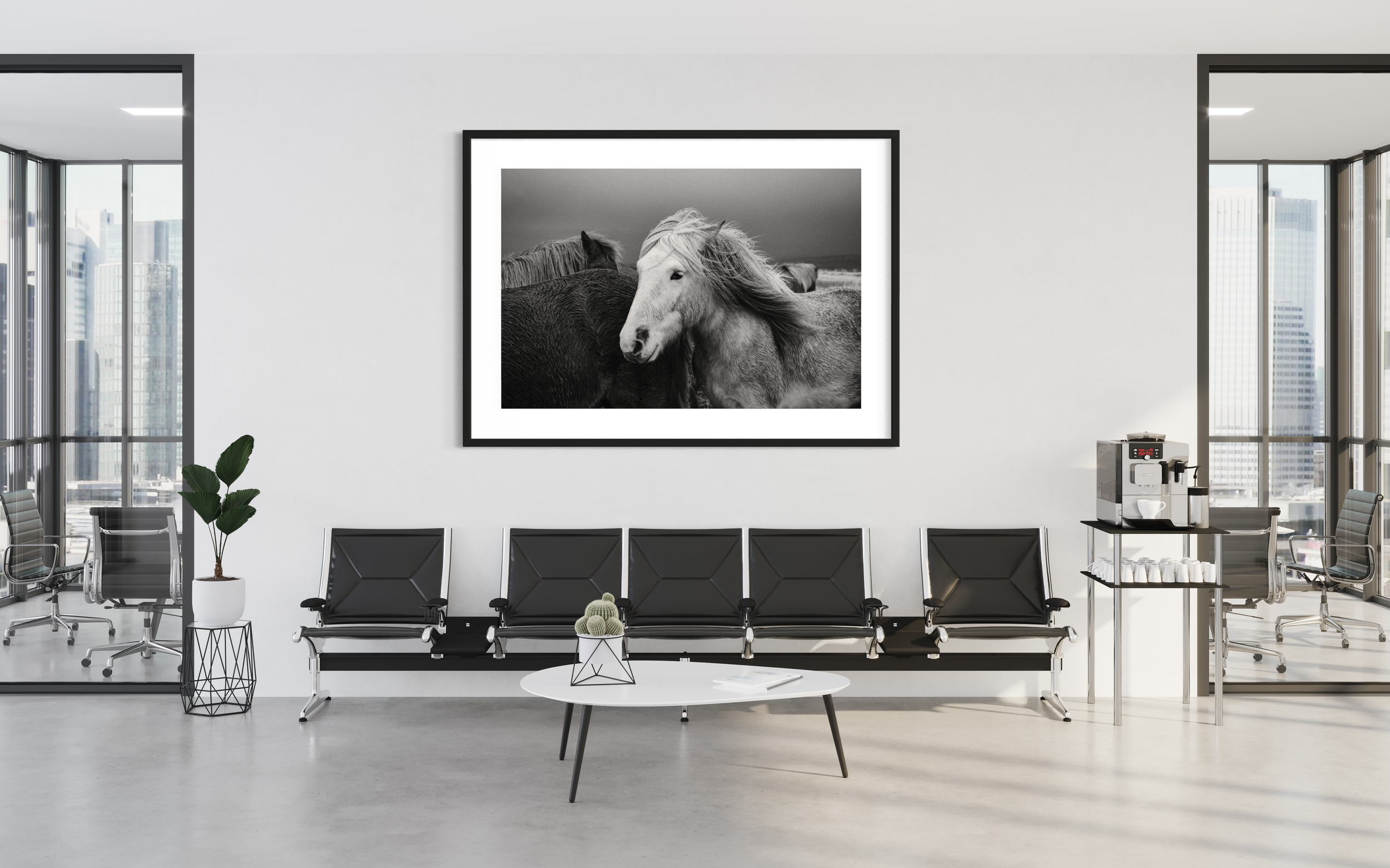 The Big Wall Limited Edition