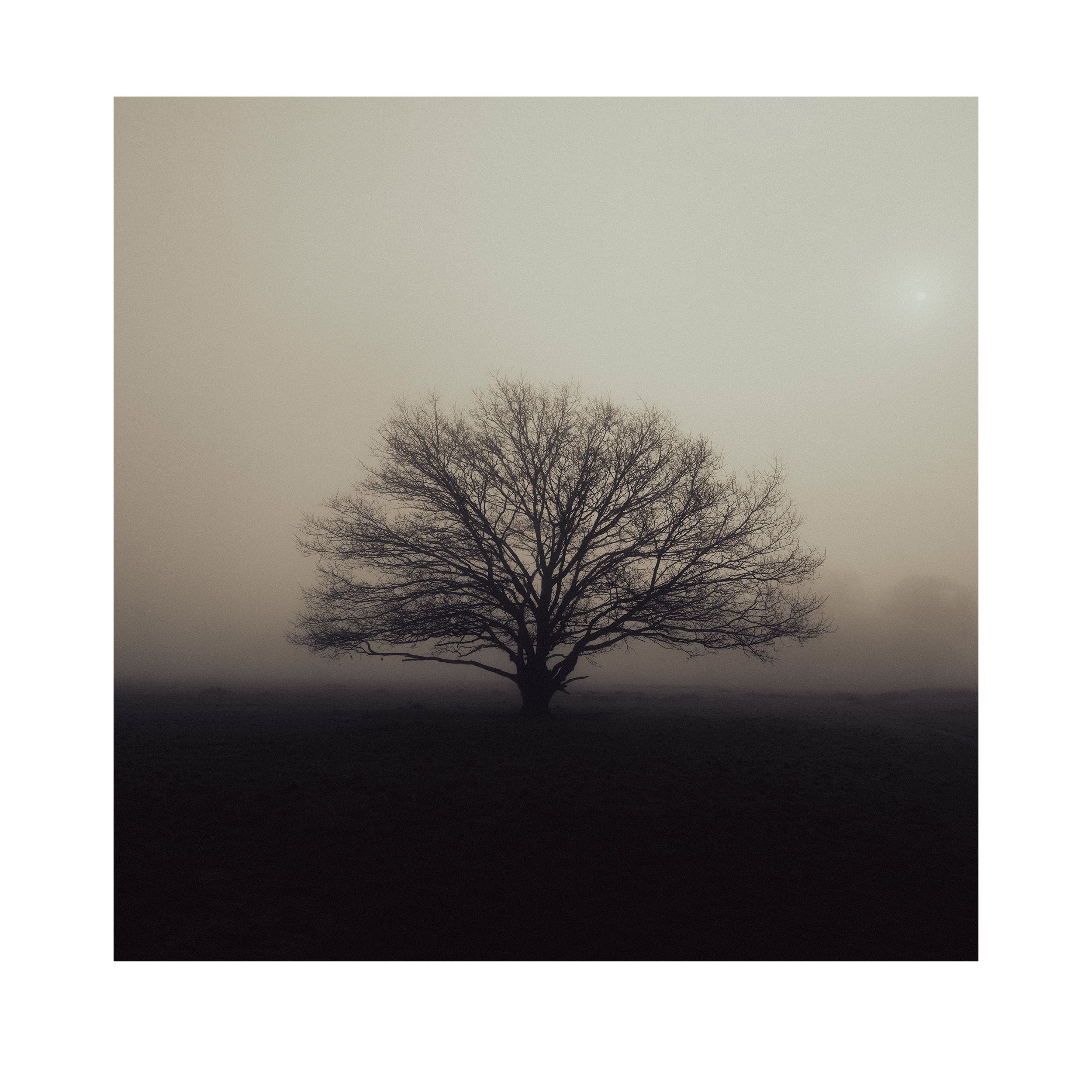 Misty Silence