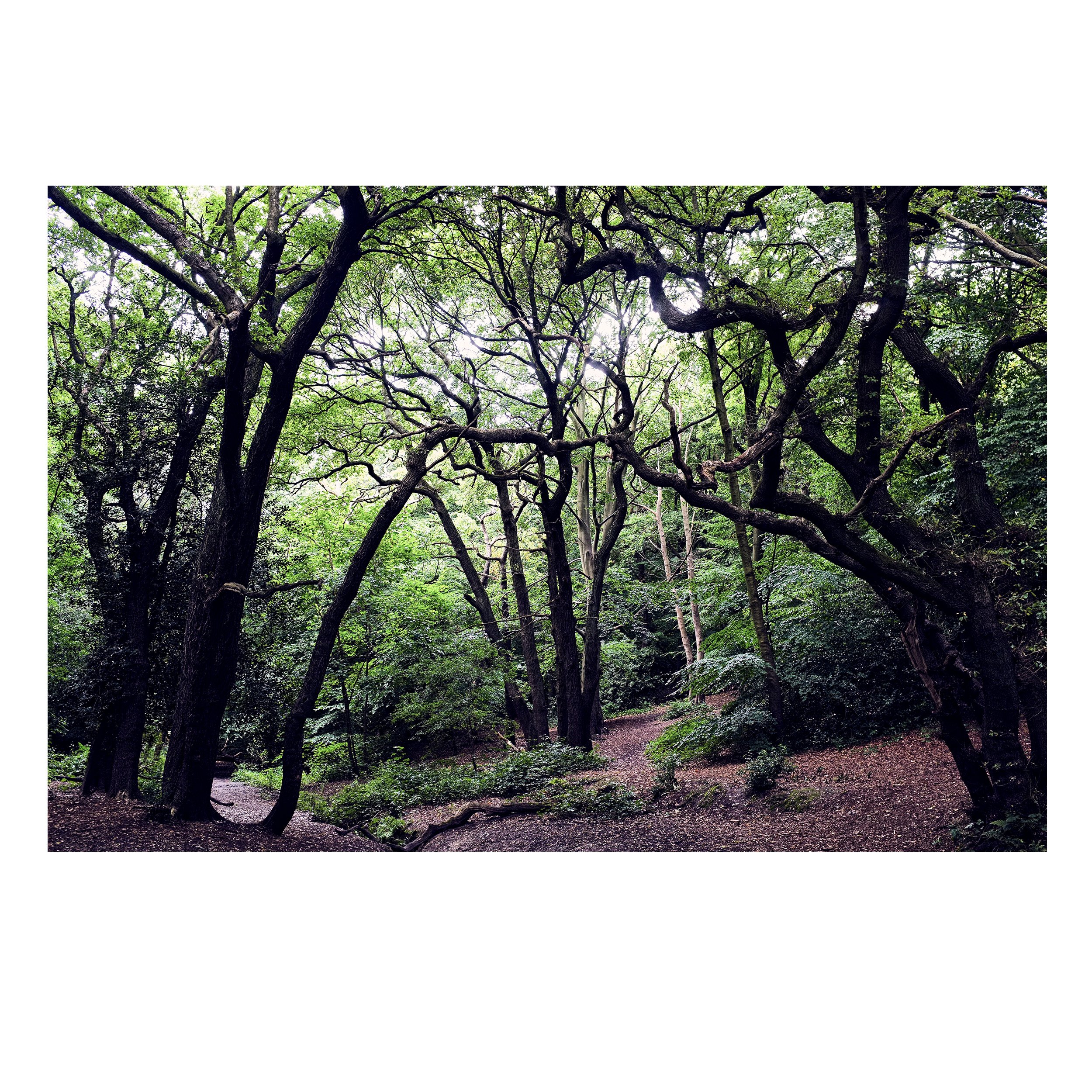 Whispering Curves