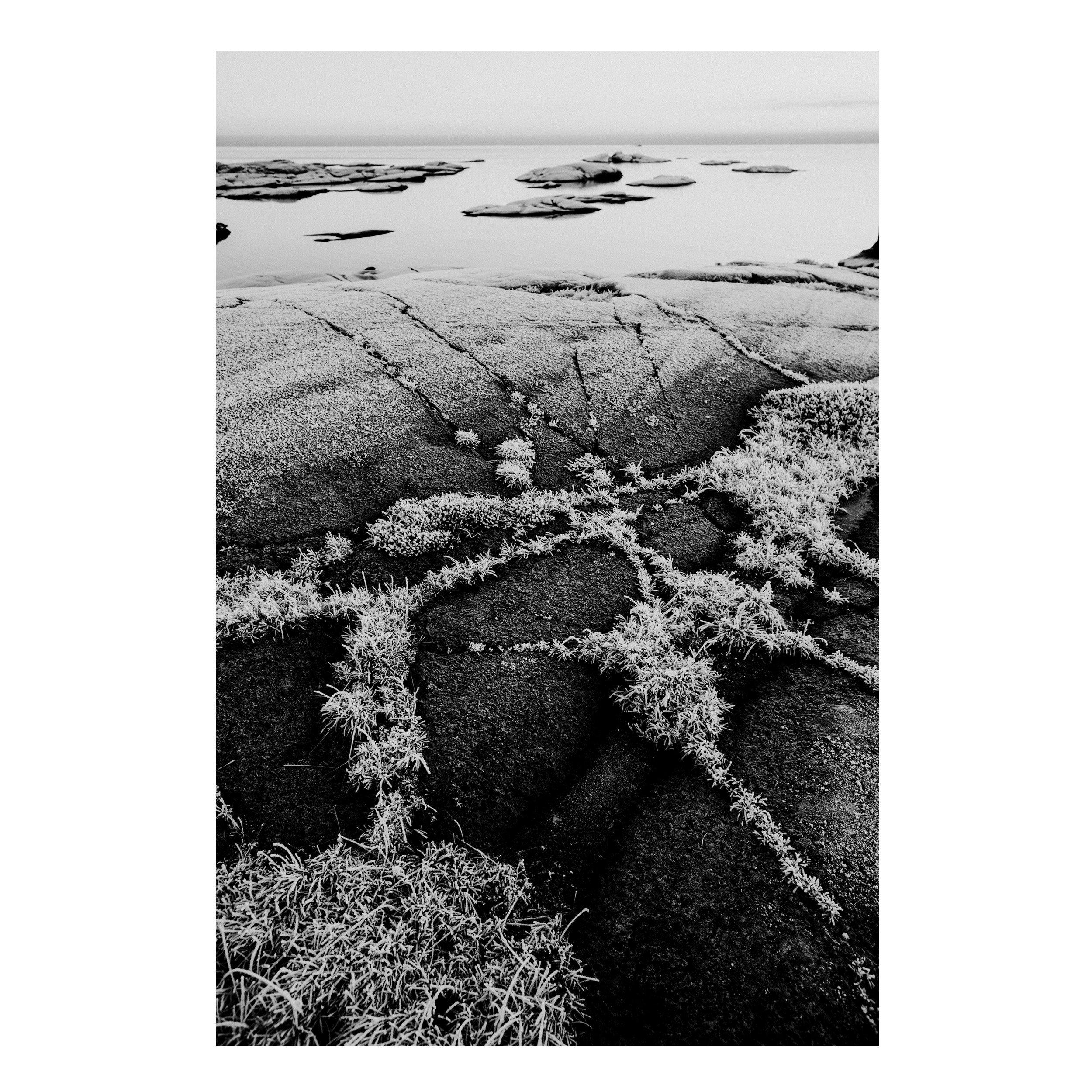 Frozen Horizon