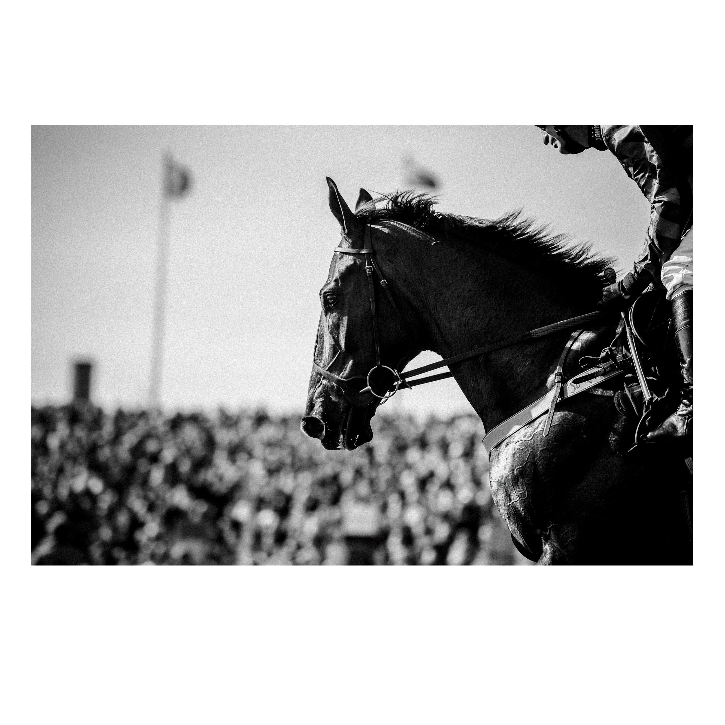 Racing Brilliance