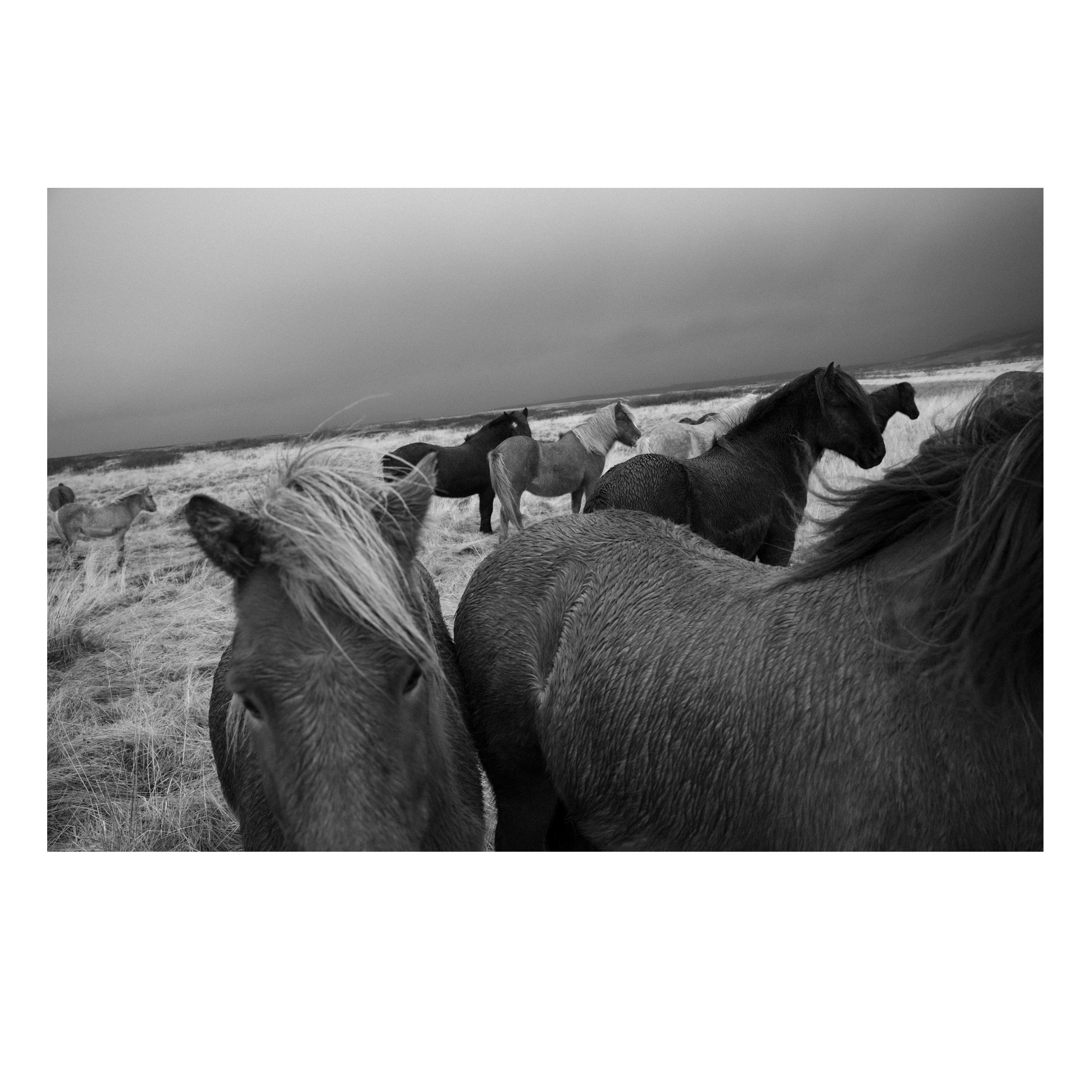 Free Spirits