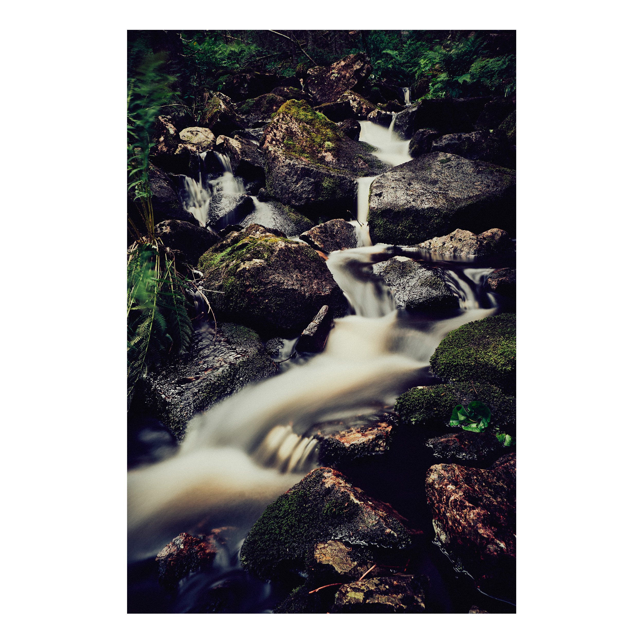 Water´s Journey