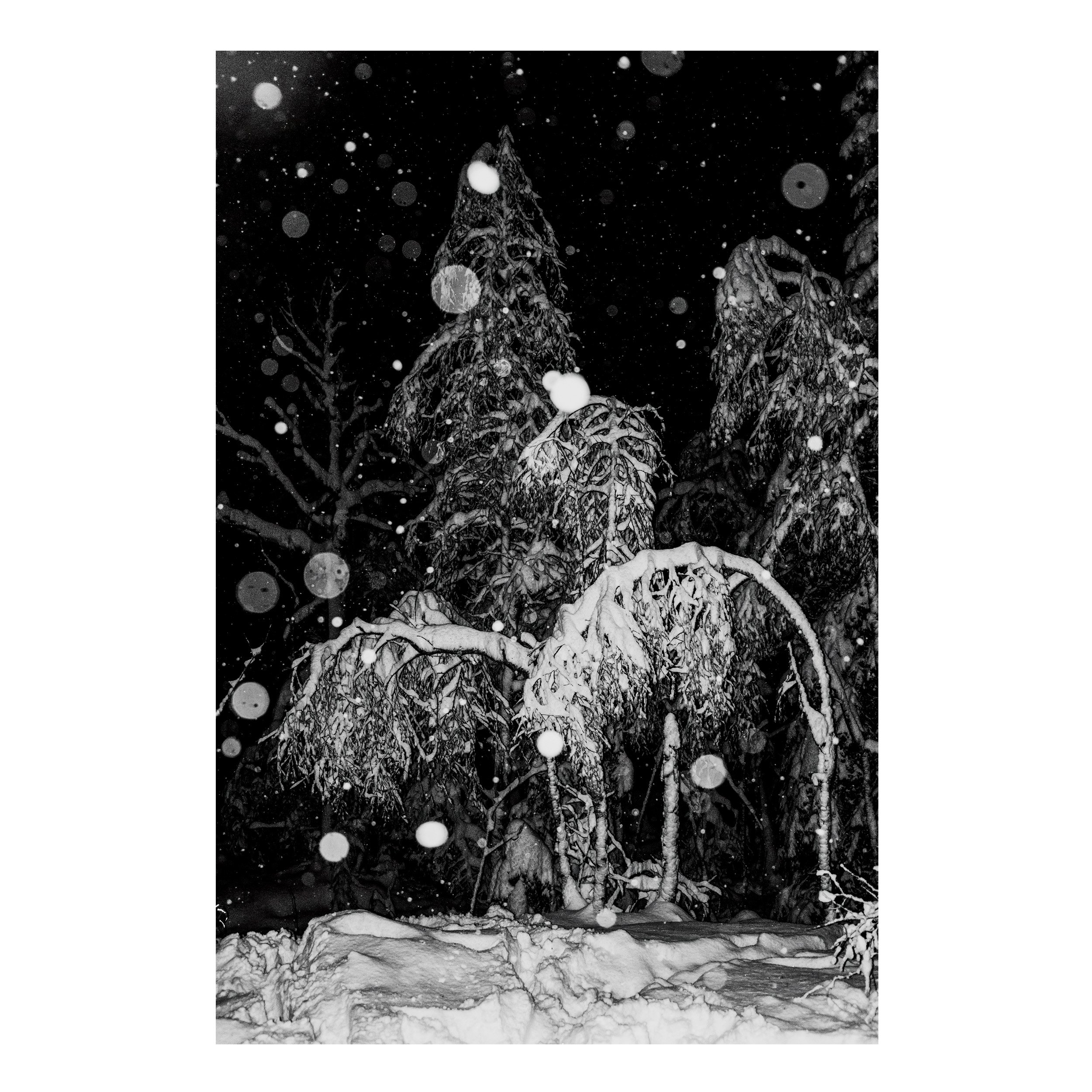 A Winter´s Weight