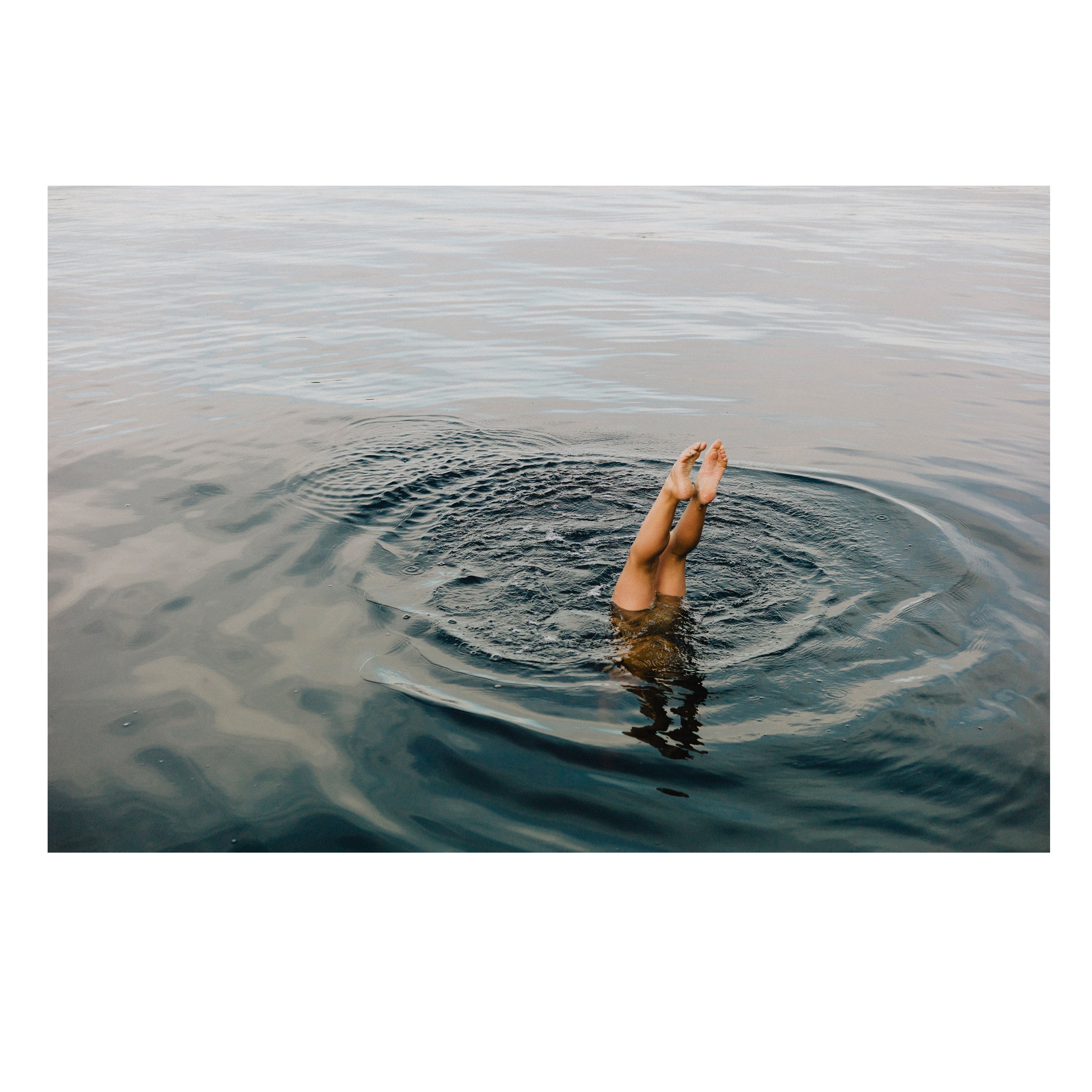 Dive In