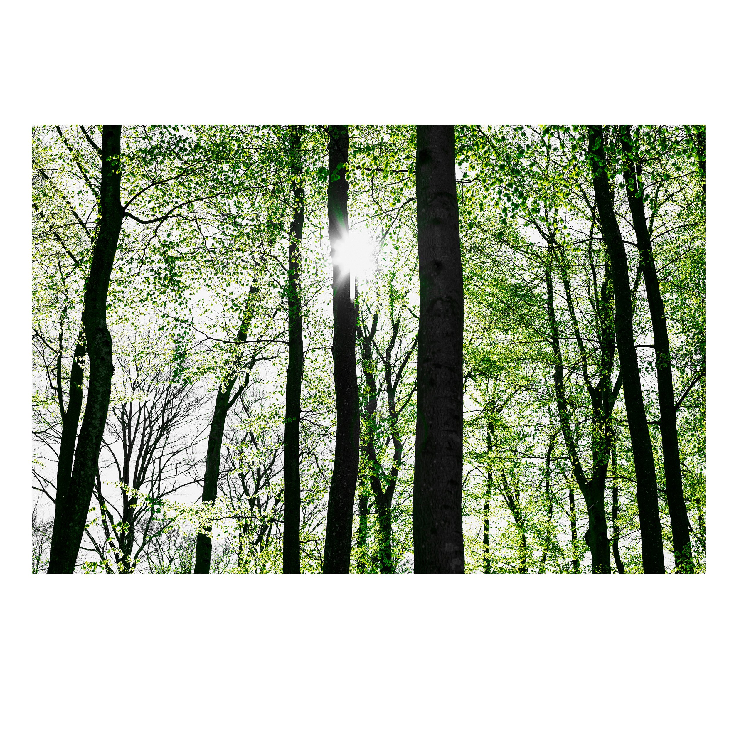 Springtime