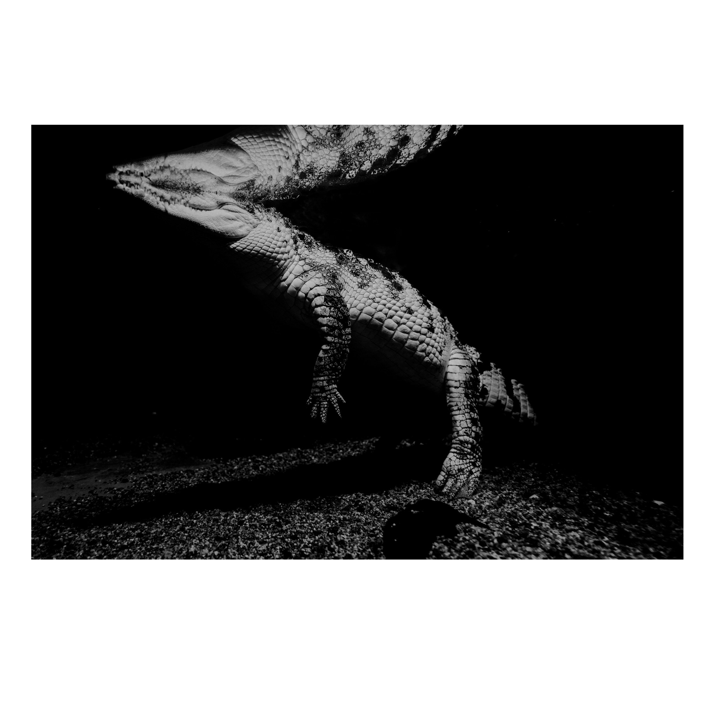 Underwater Guardian