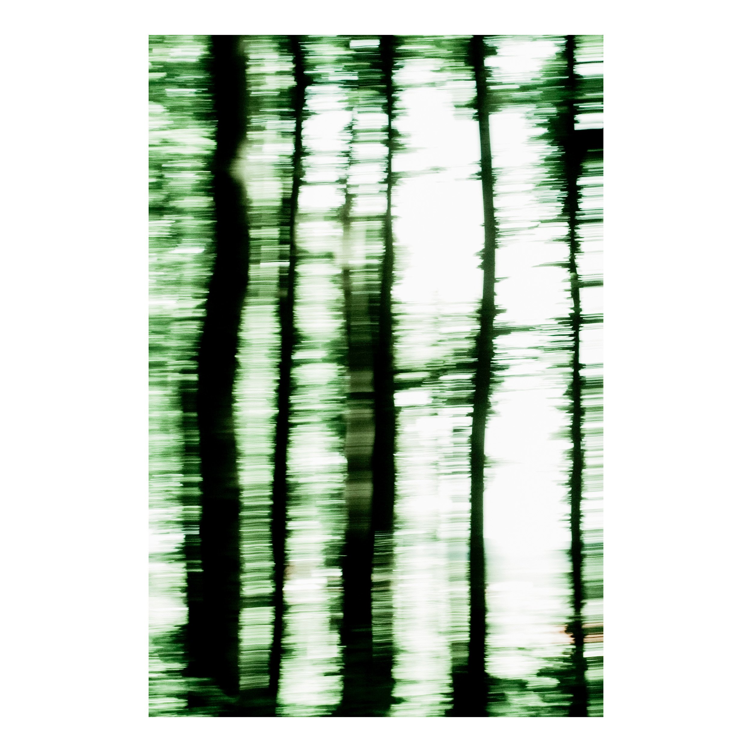 Veil of Spring II.jpg