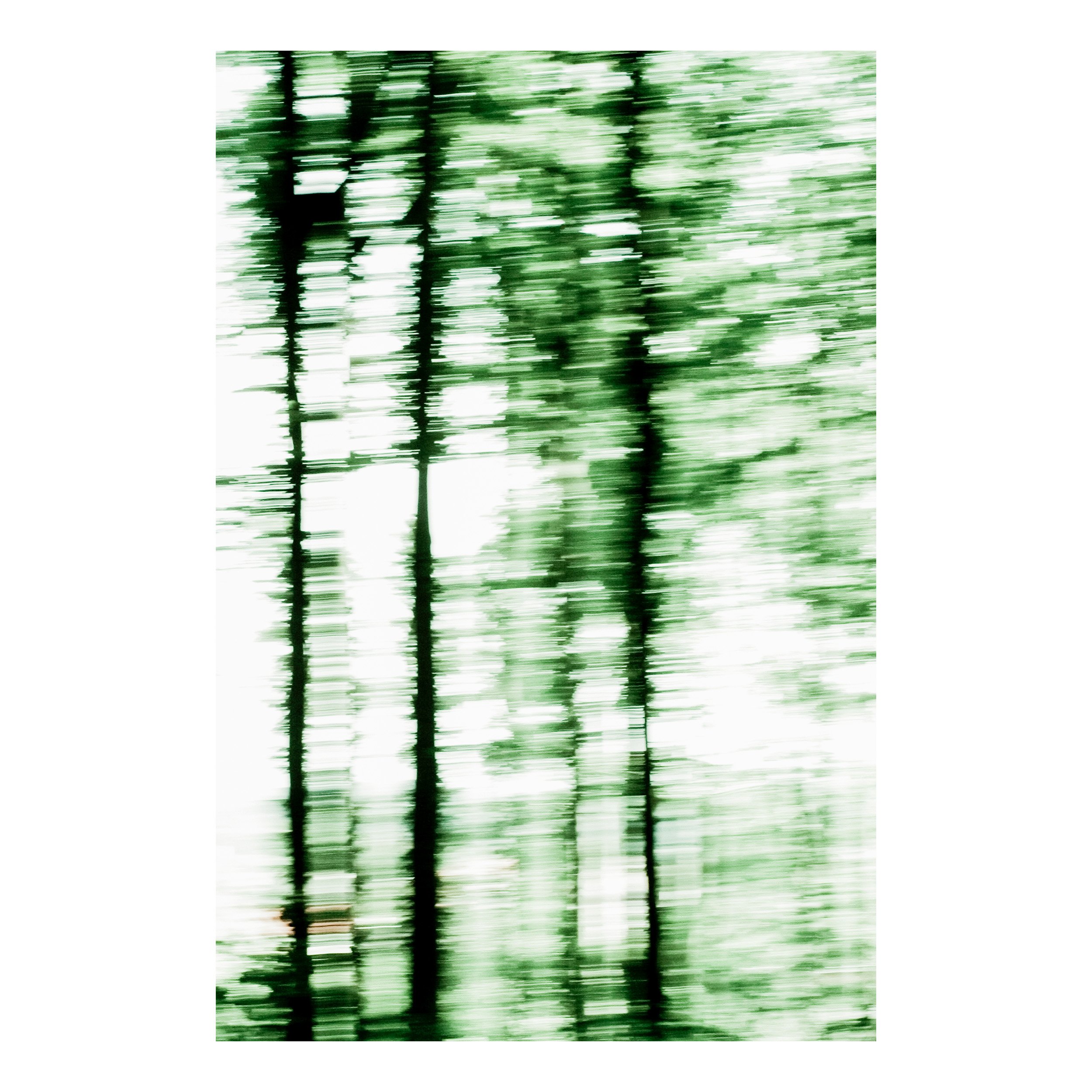 Veil of Spring III.jpg