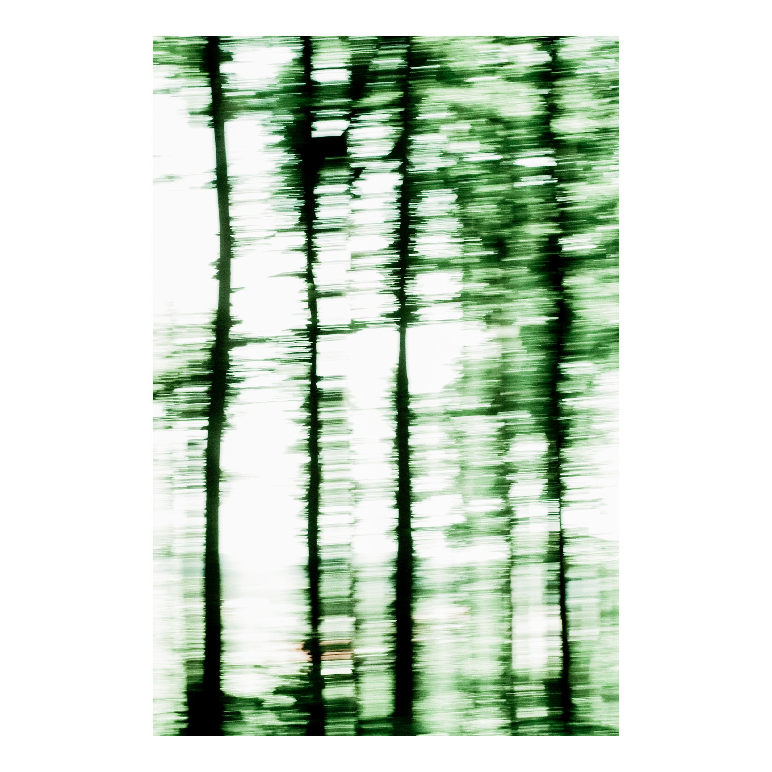 Veil of Spring I, II and III