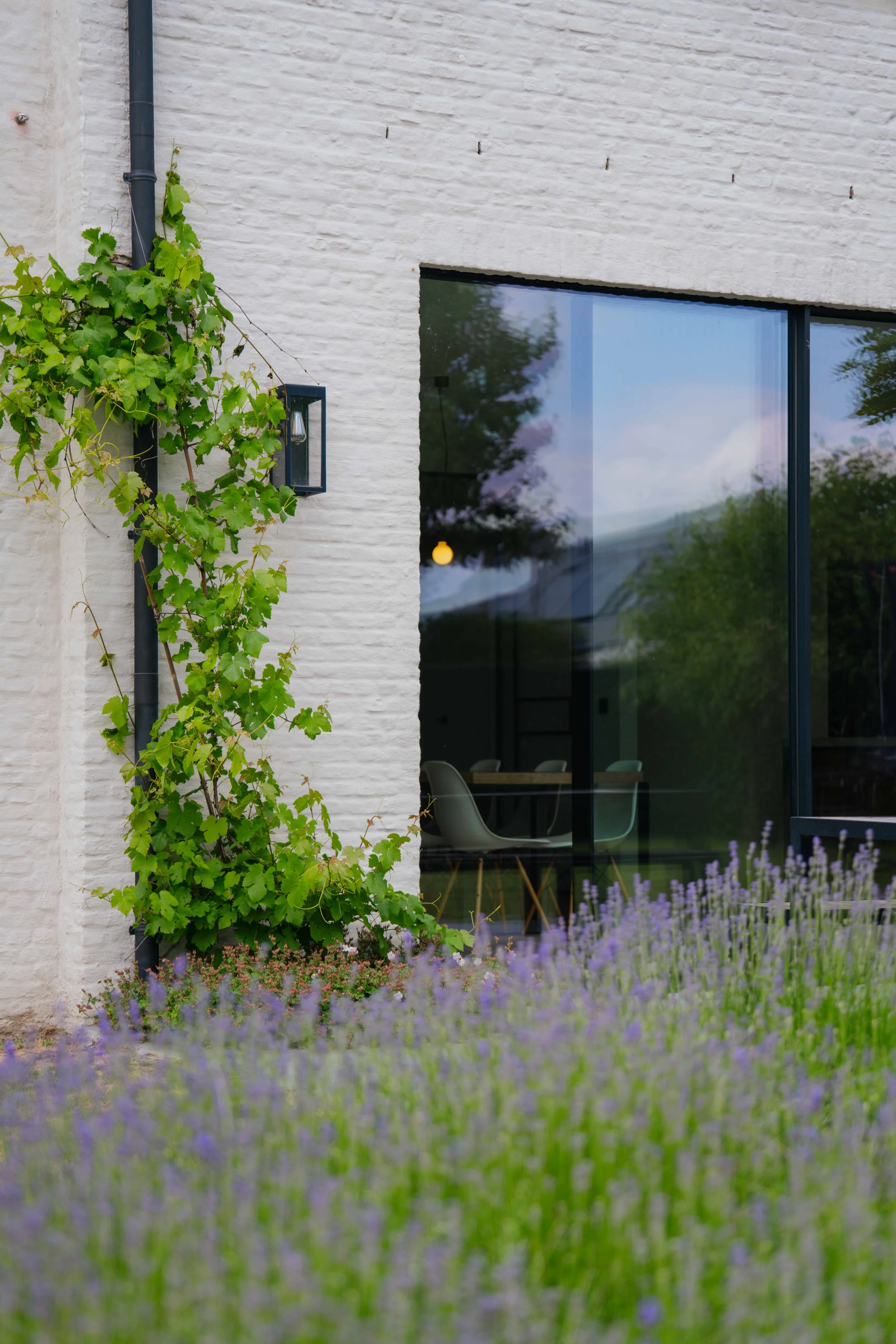 Maison Celine-05962.JPG