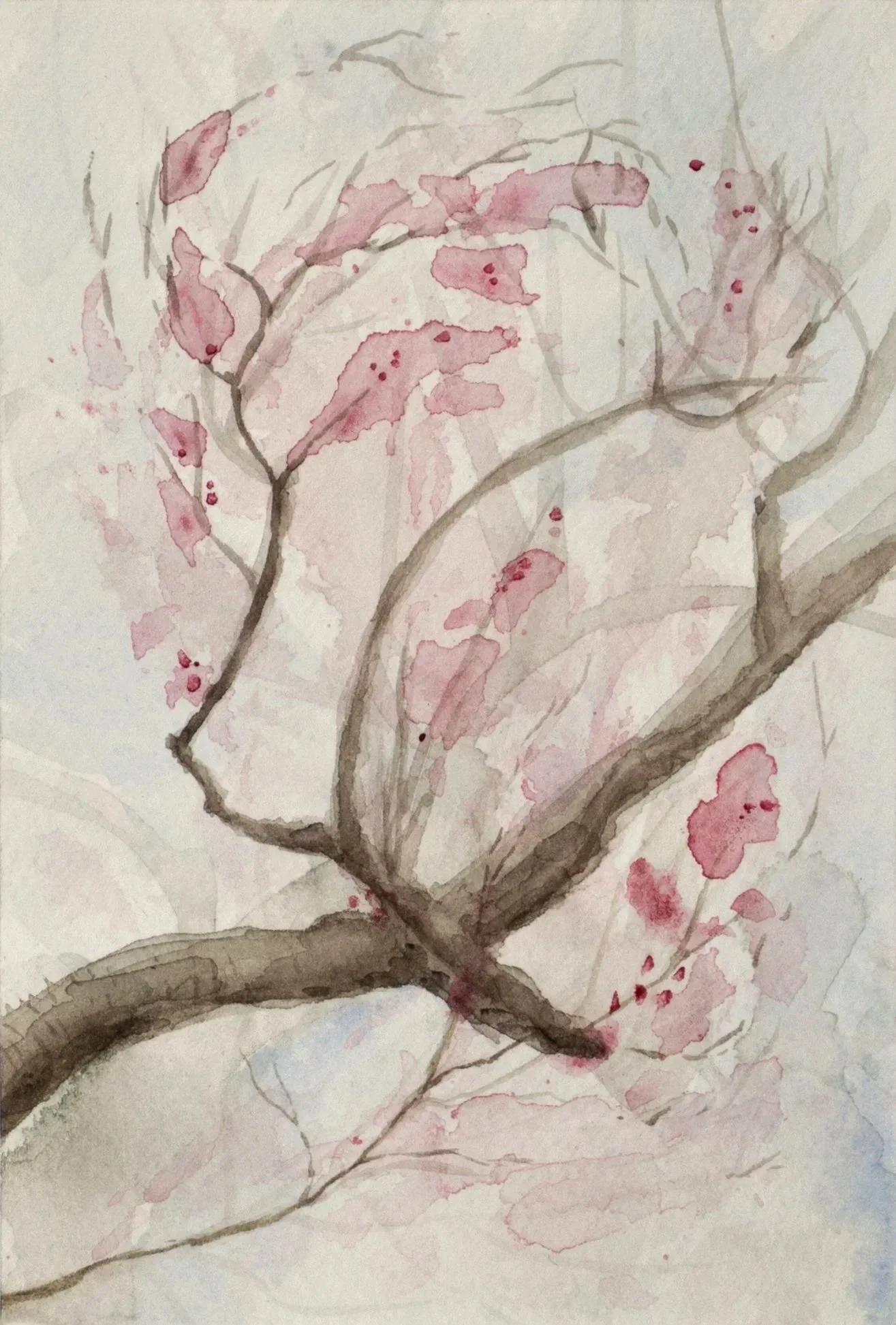 Cherry Blossom (Tokyo, Japan), 2024. Watercolour on paper — 21 x 14.8 cm