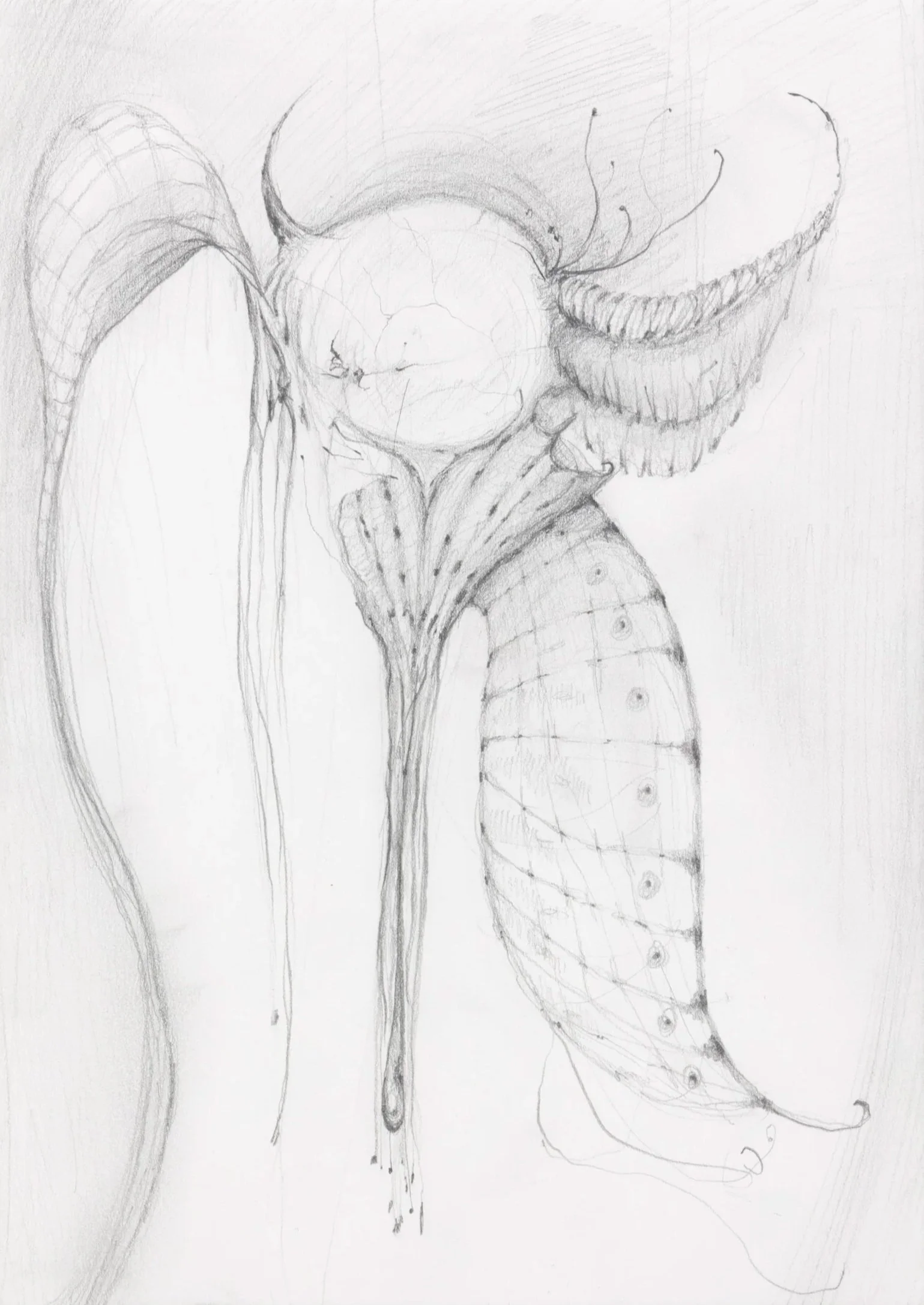 Fallen, 2026. Pencil on paper — 21 x 14.8 cm