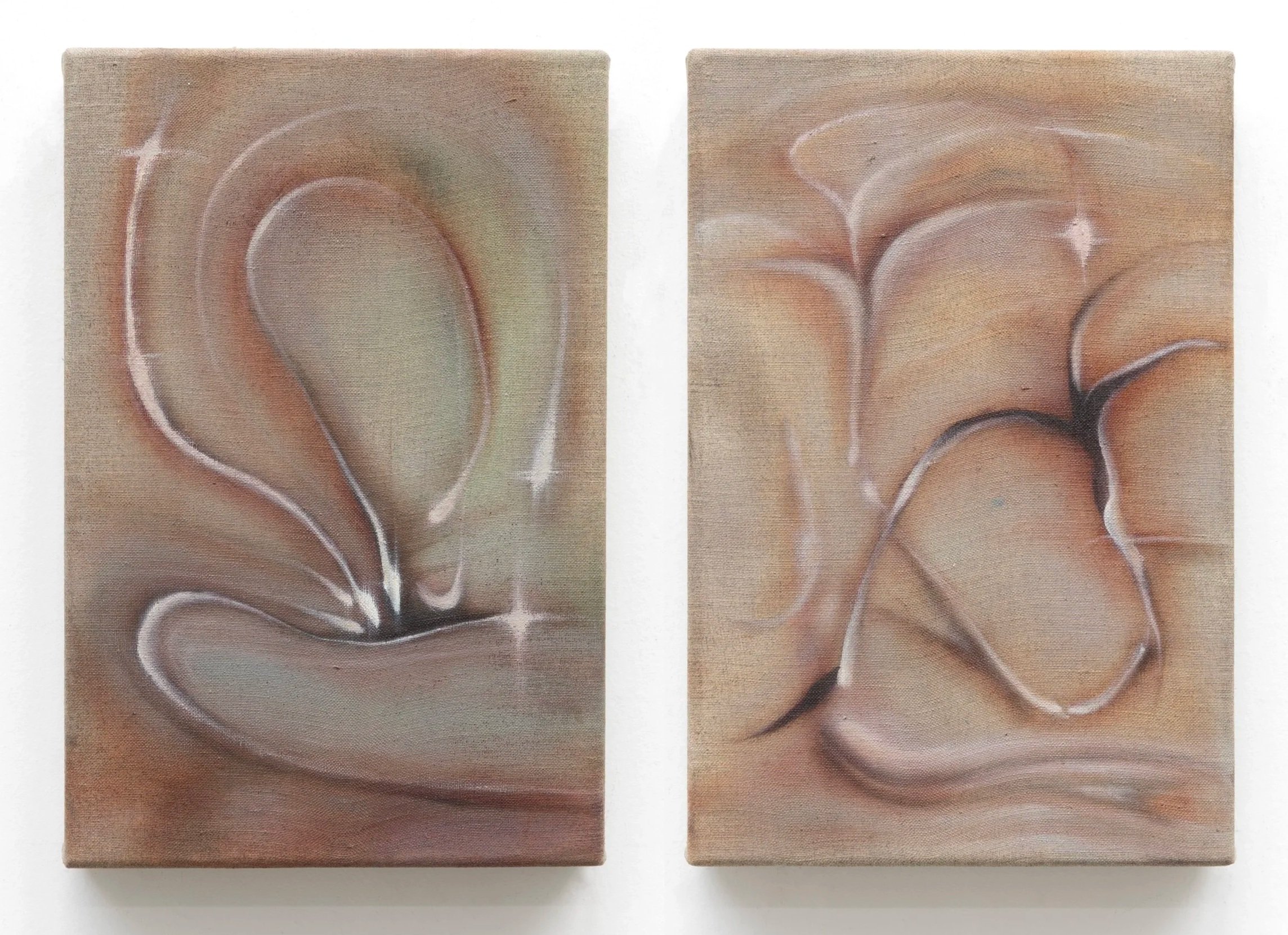 Seedlings, 2026. Oil on linen — Two Panels 35 x 25 cm each, 35 x 50 cm