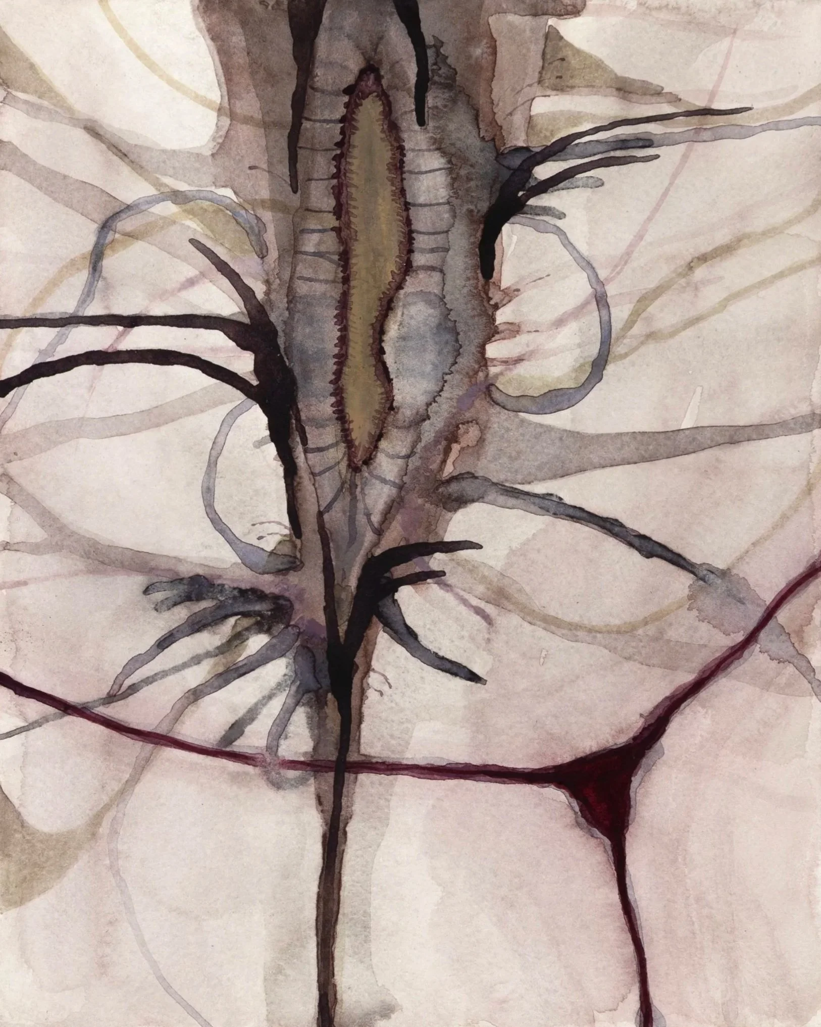 Vulphyllum, 2026. Watercolour on paper — 29.7 x 21 cm