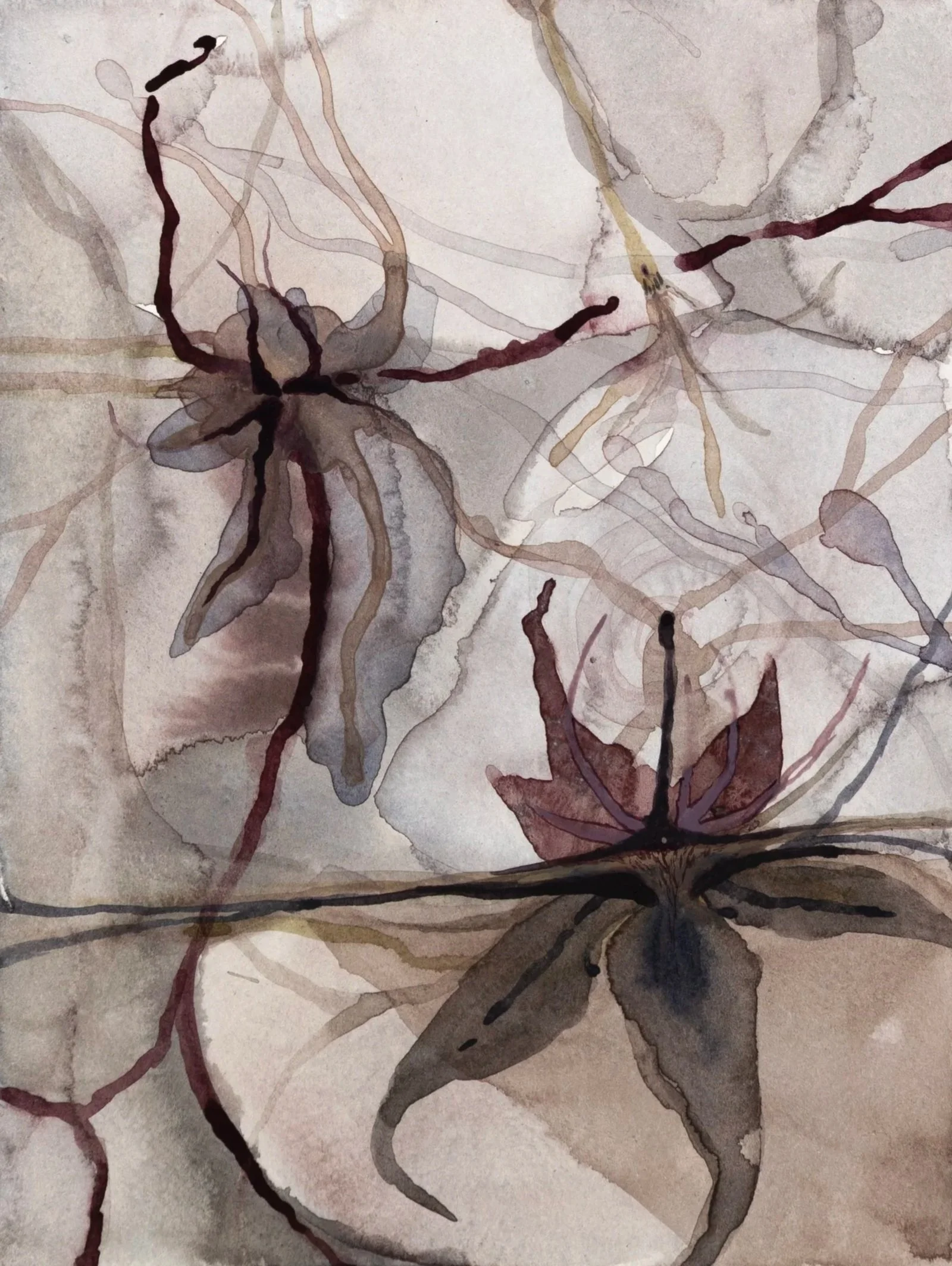 Aerial Rot, 2026. Watercolour on paper — 18 x 14.5 cm
