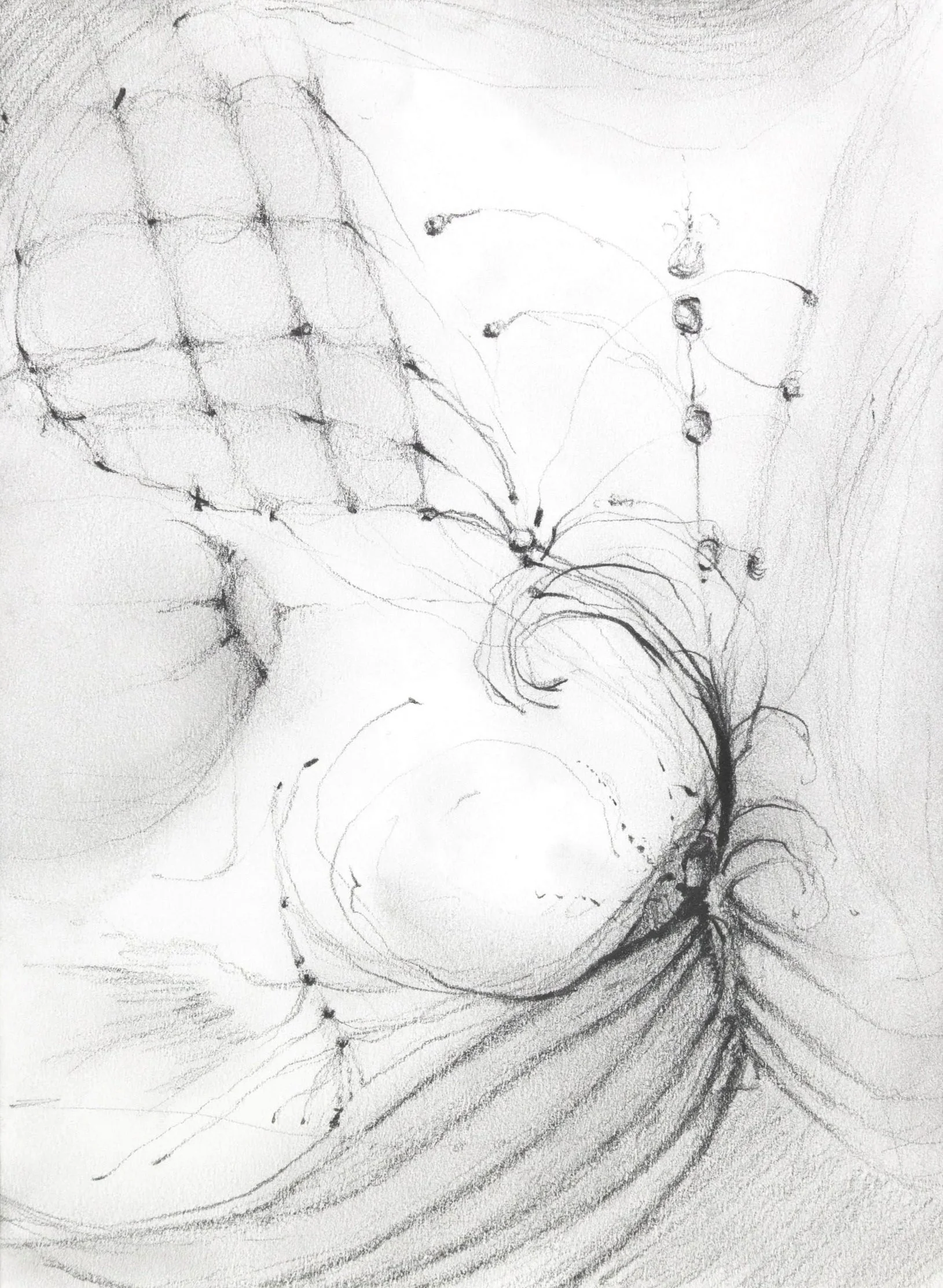 Phenomena, 2026. Pencil on paper — 21 x 14.8 cm