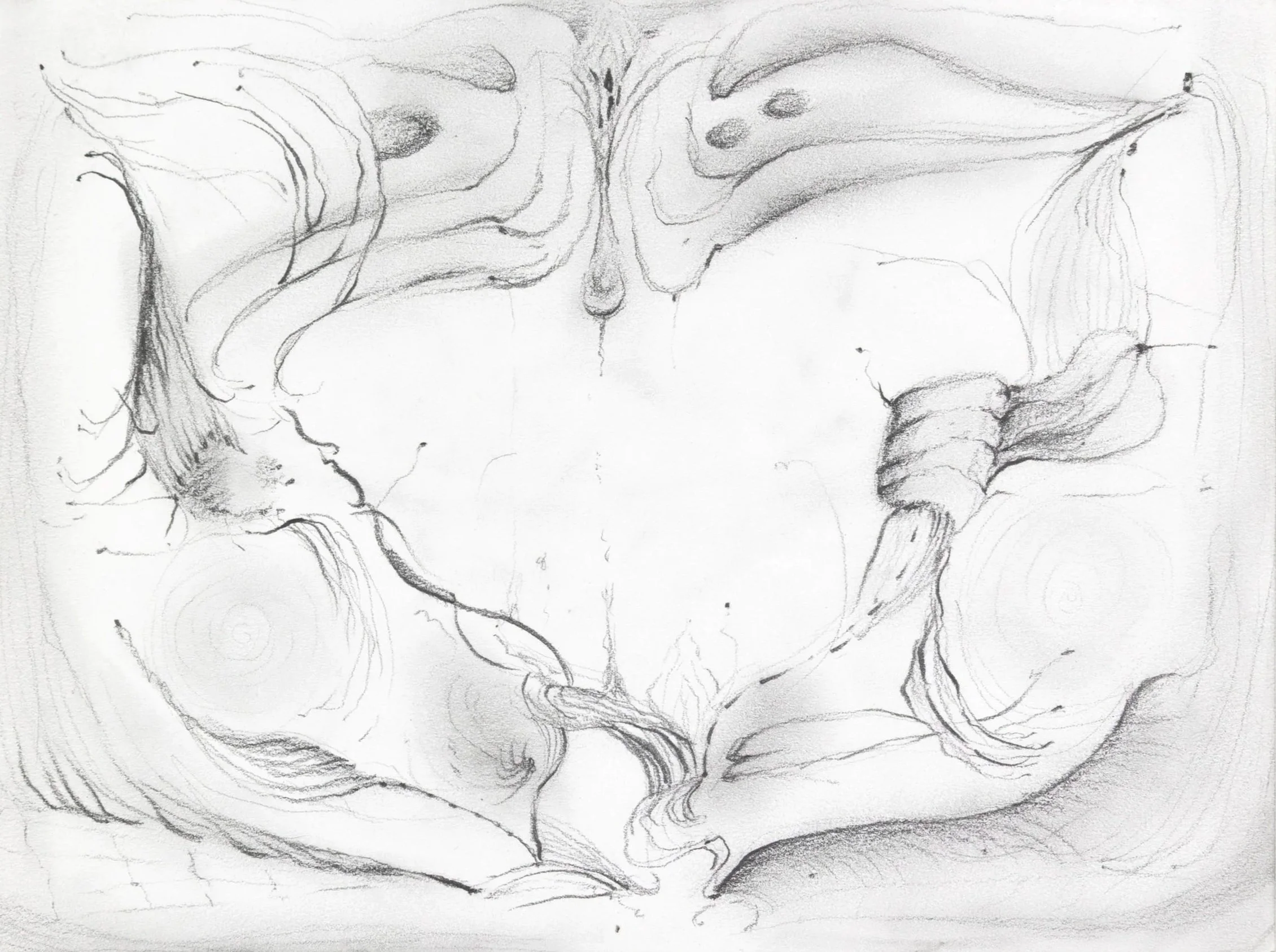 Down the Symbiosis, 2026. Pencil on paper — 14.8 x 21 cm