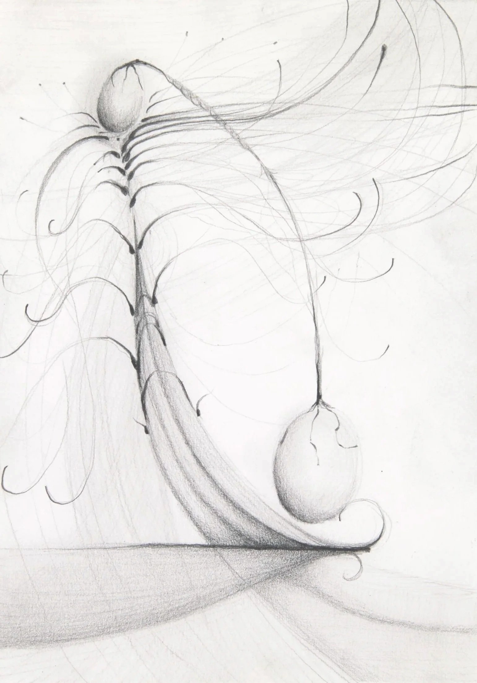 Feeding, 2026. Pencil on paper — 21 x 14.8 cm