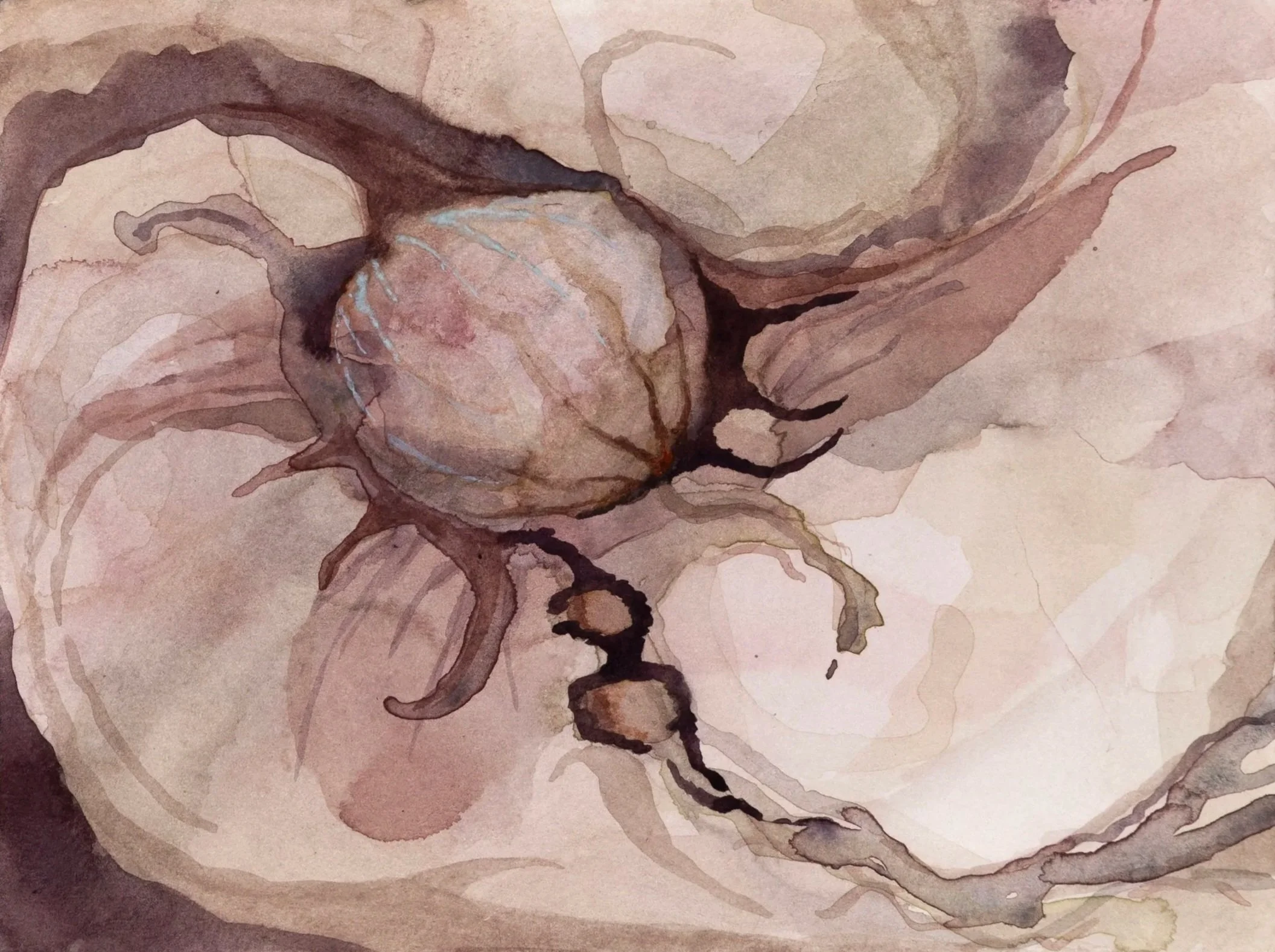 Lingering Opia, 2026. Watercolour on paper — 18 x 14.5 cm