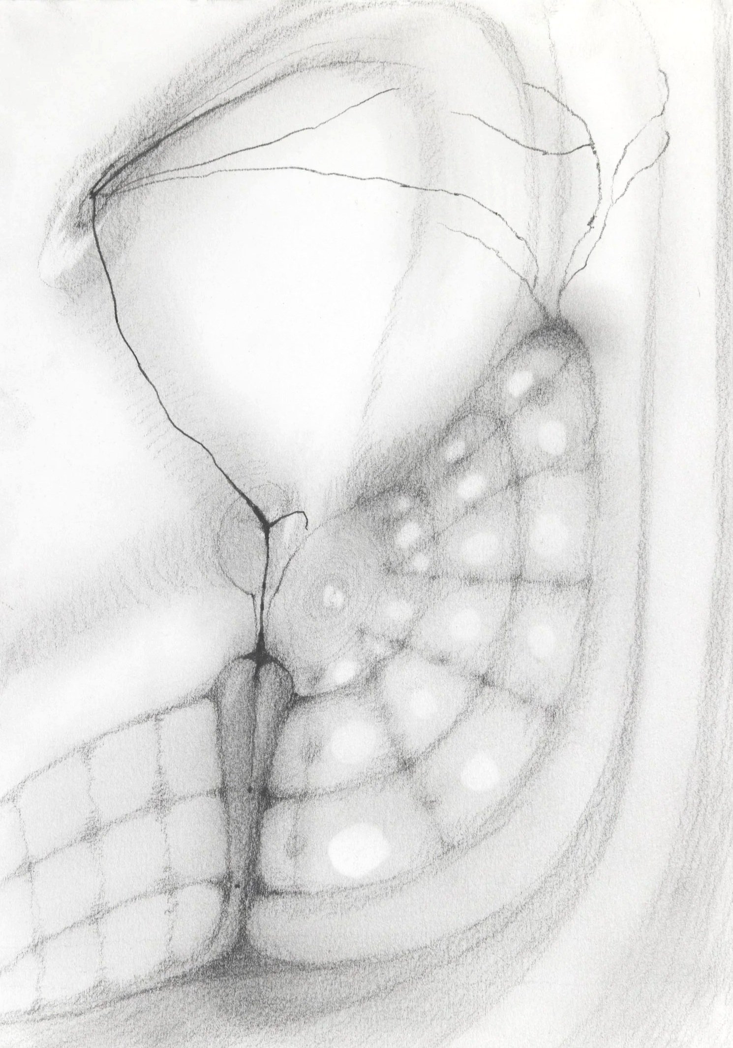 Fluttering Pulse, 2026. Pencil on paper — 14.8 x 21 cm
