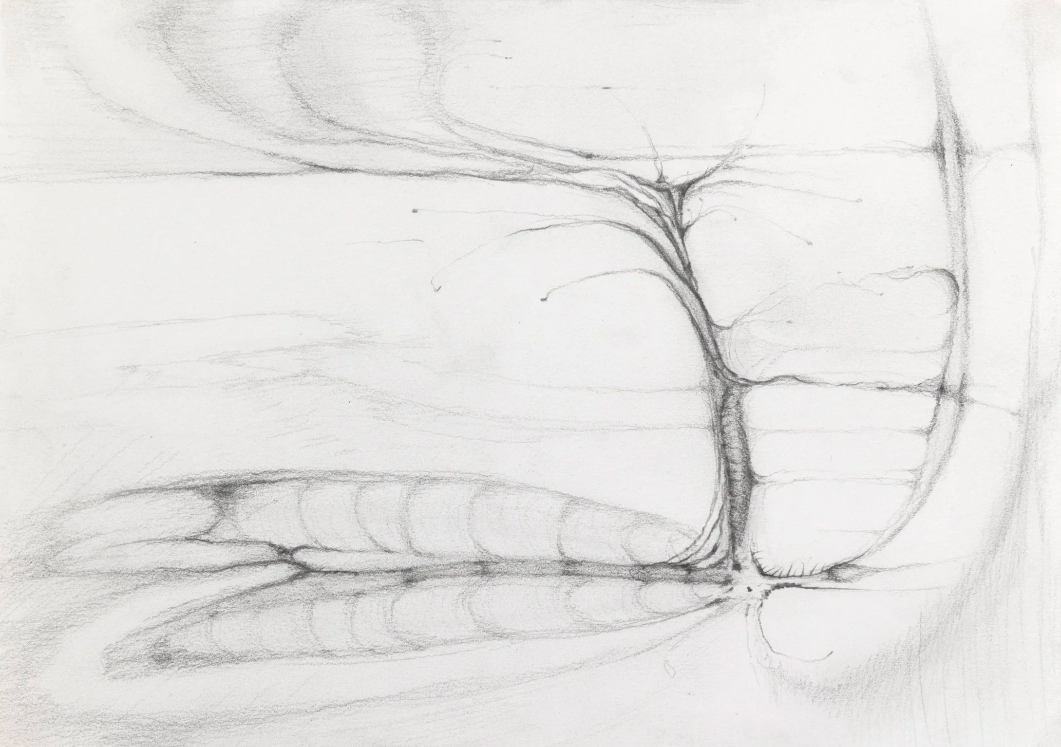 Chitin: As We Appear, 2026. Pencil on paper — 14.8 x 21 cm