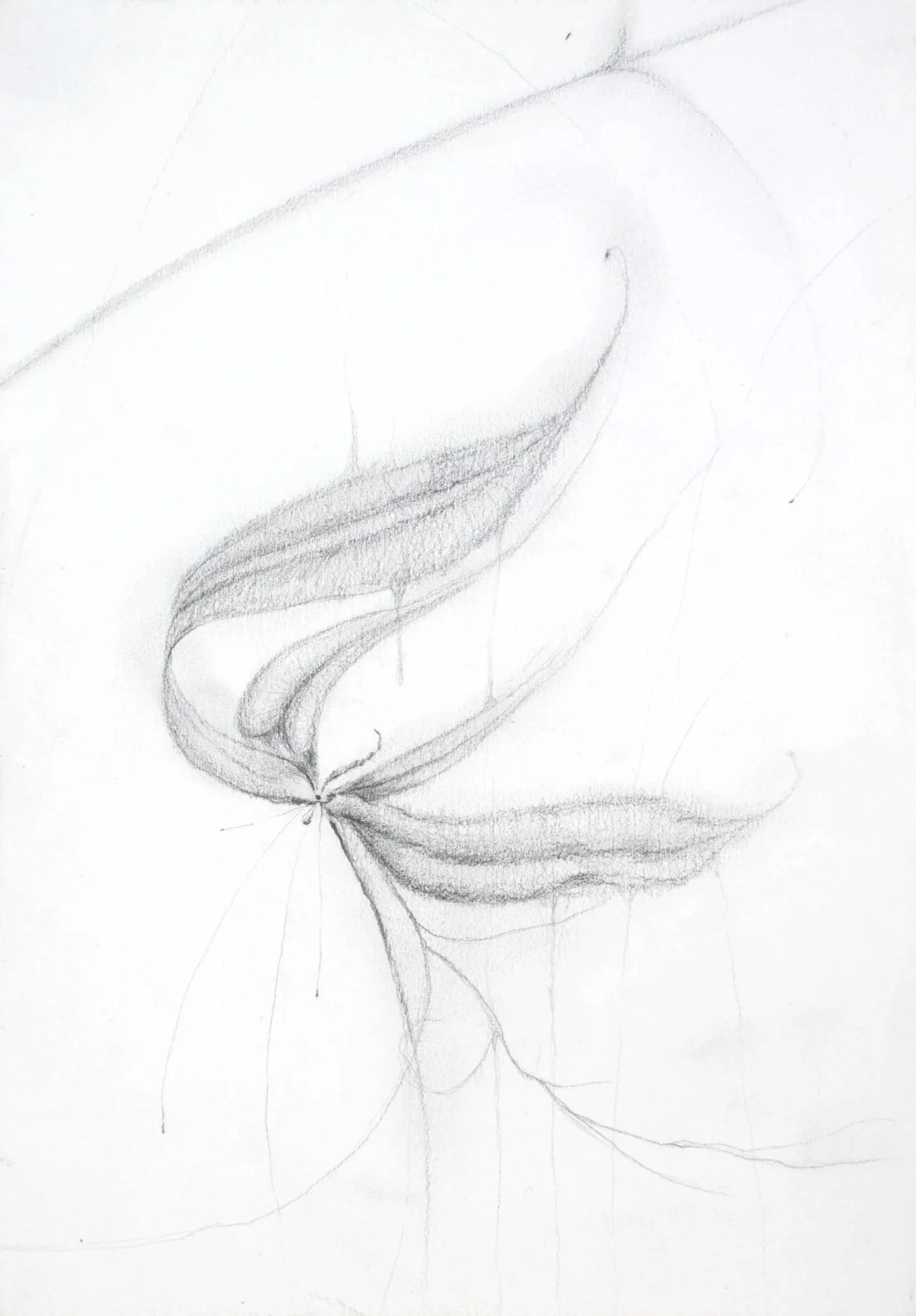 Zephyr, 2026. Pencil on paper — 21 x 14.8 cm