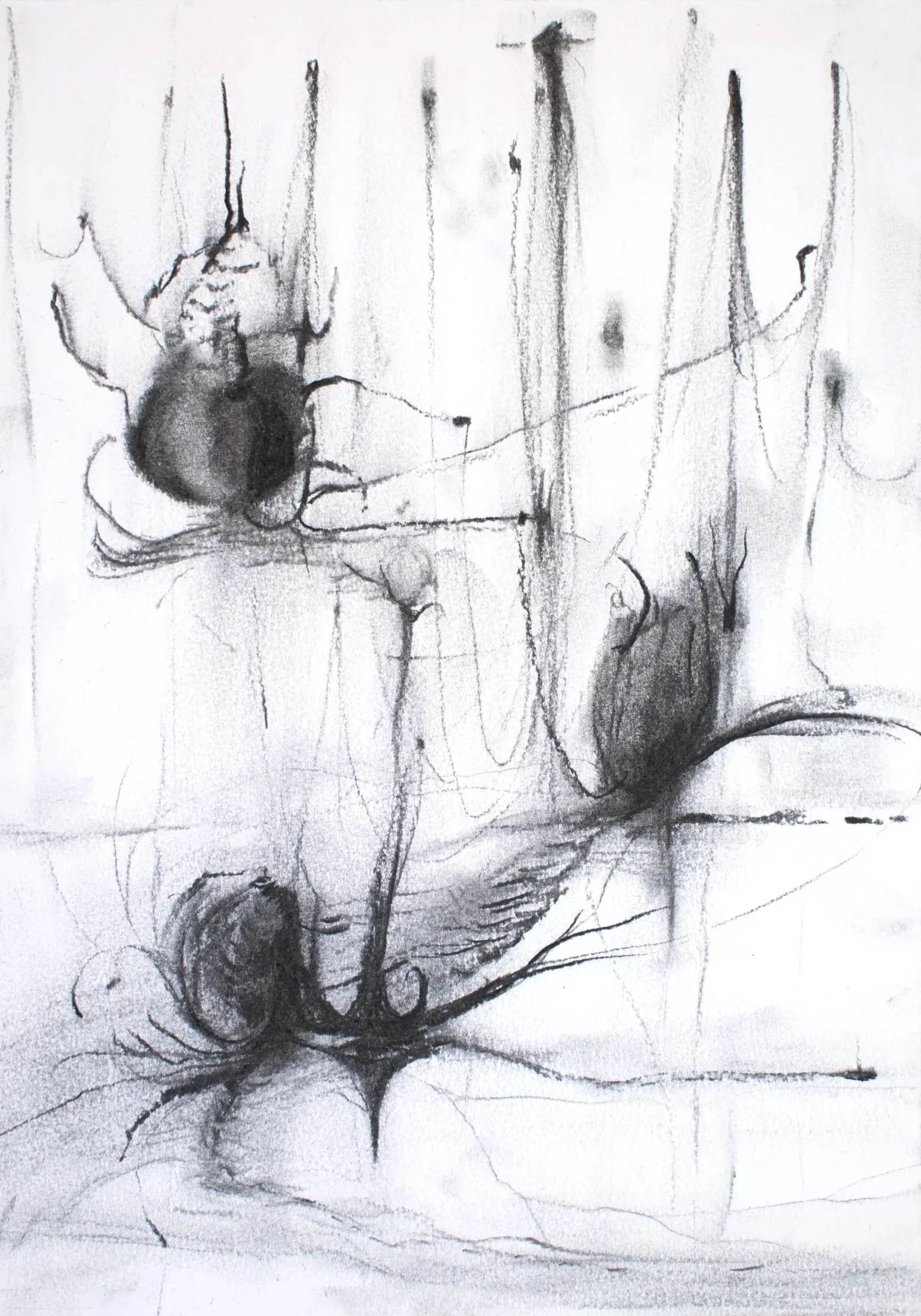 Hidden In A Distant Dream, 2026. Charcoal on paper — 29.8 x 21.8 cm