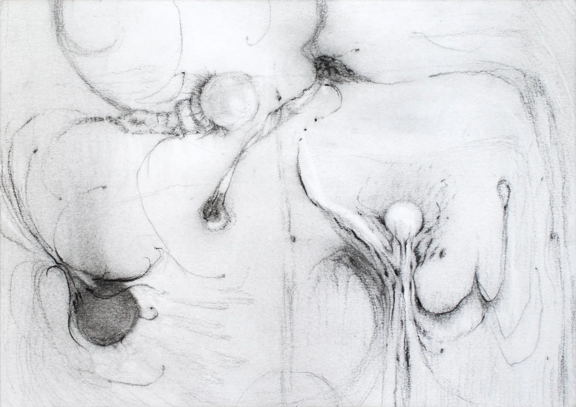 Beneath A Fickle Terrain, 2026. Pencil on paper — 14.8 x 21 cm