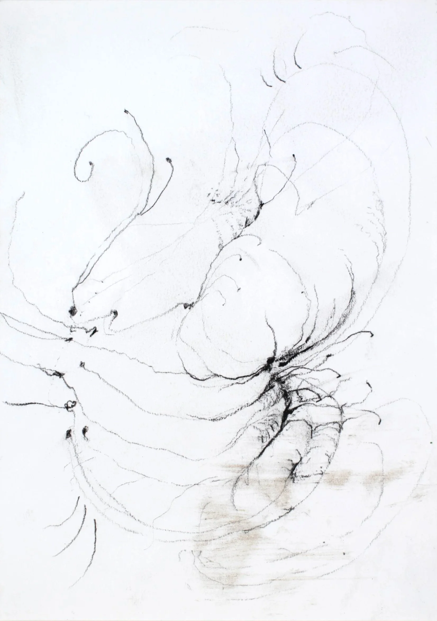 Admist Obscure Winds, 2026. Pencil and dirt on paper — 21 x 14.8 cm