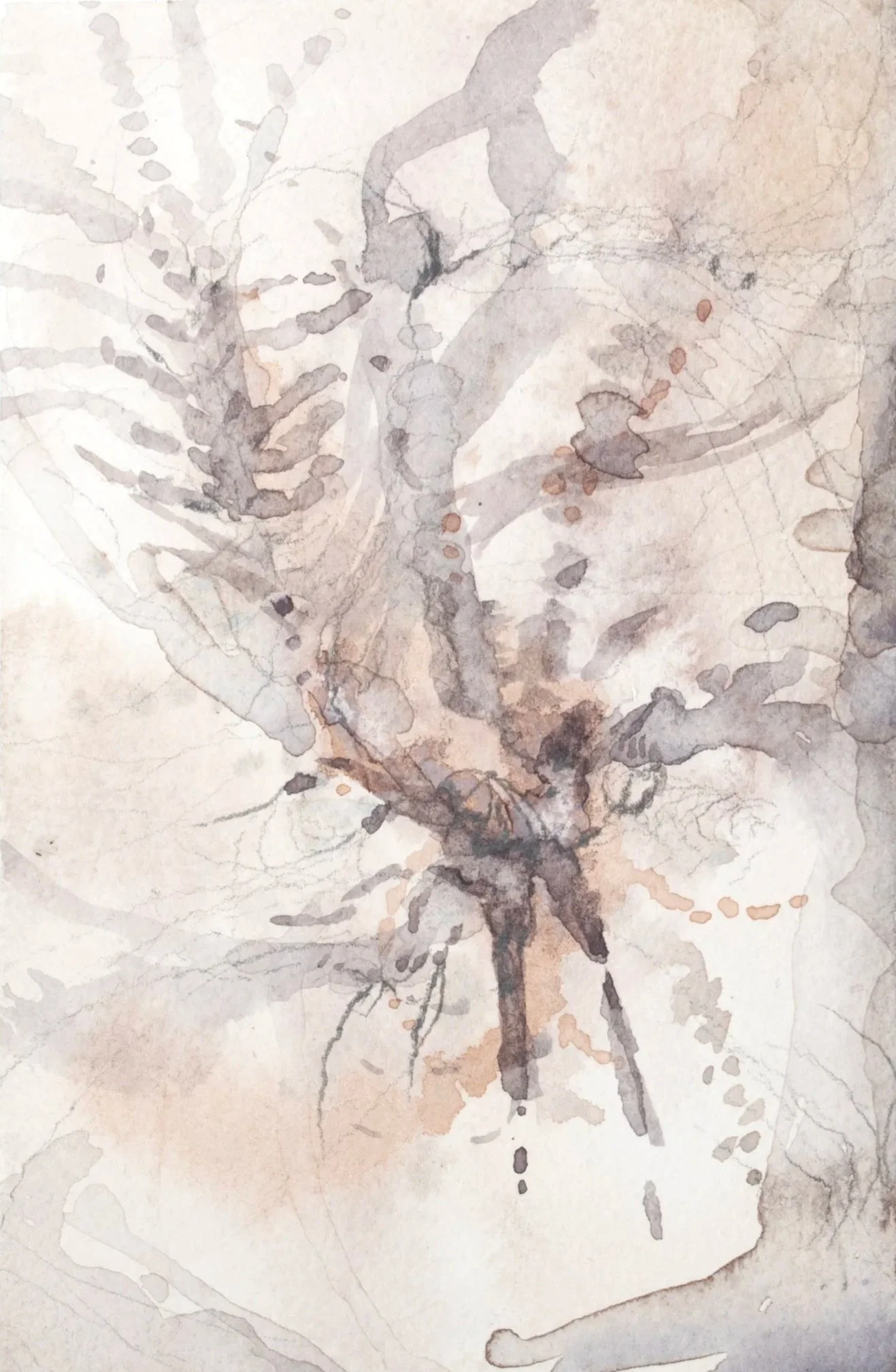 Psychromides, 2026. Watercolour and pencil on paper — 14.8 x 10 cm